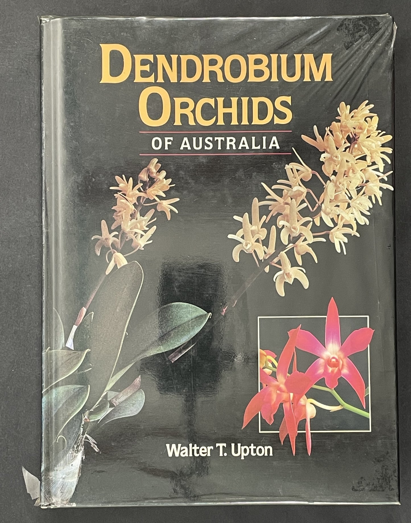 Dendrobium Orchids of Australia by W. T. Upton