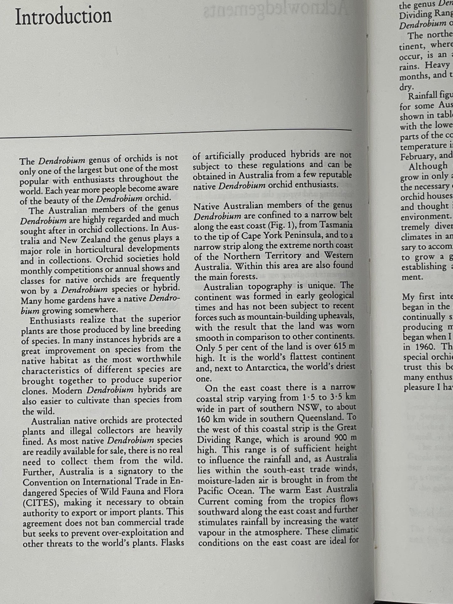 Dendrobium Orchids of Australia by W. T. Upton