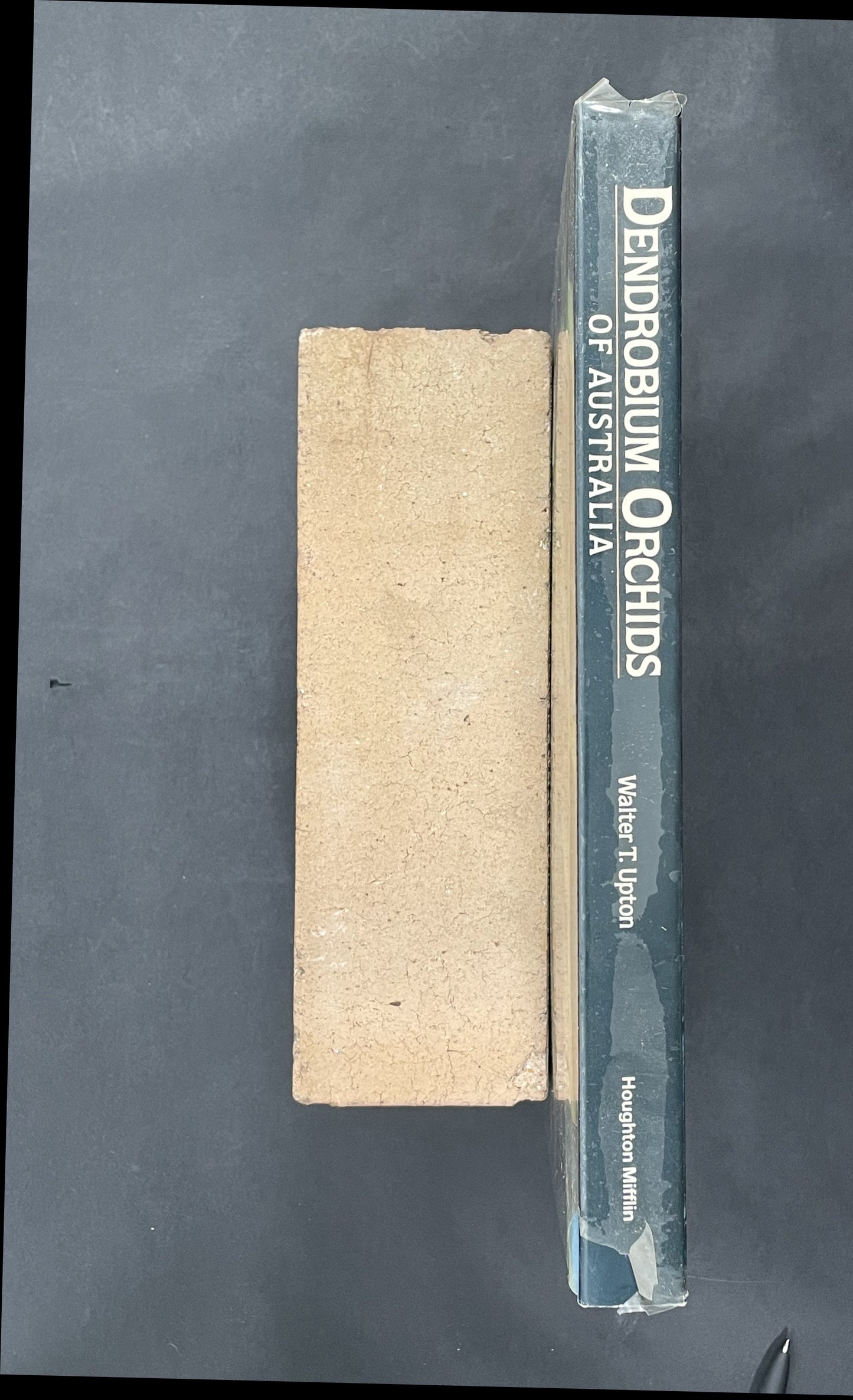 Dendrobium Orchids of Australia by W. T. Upton