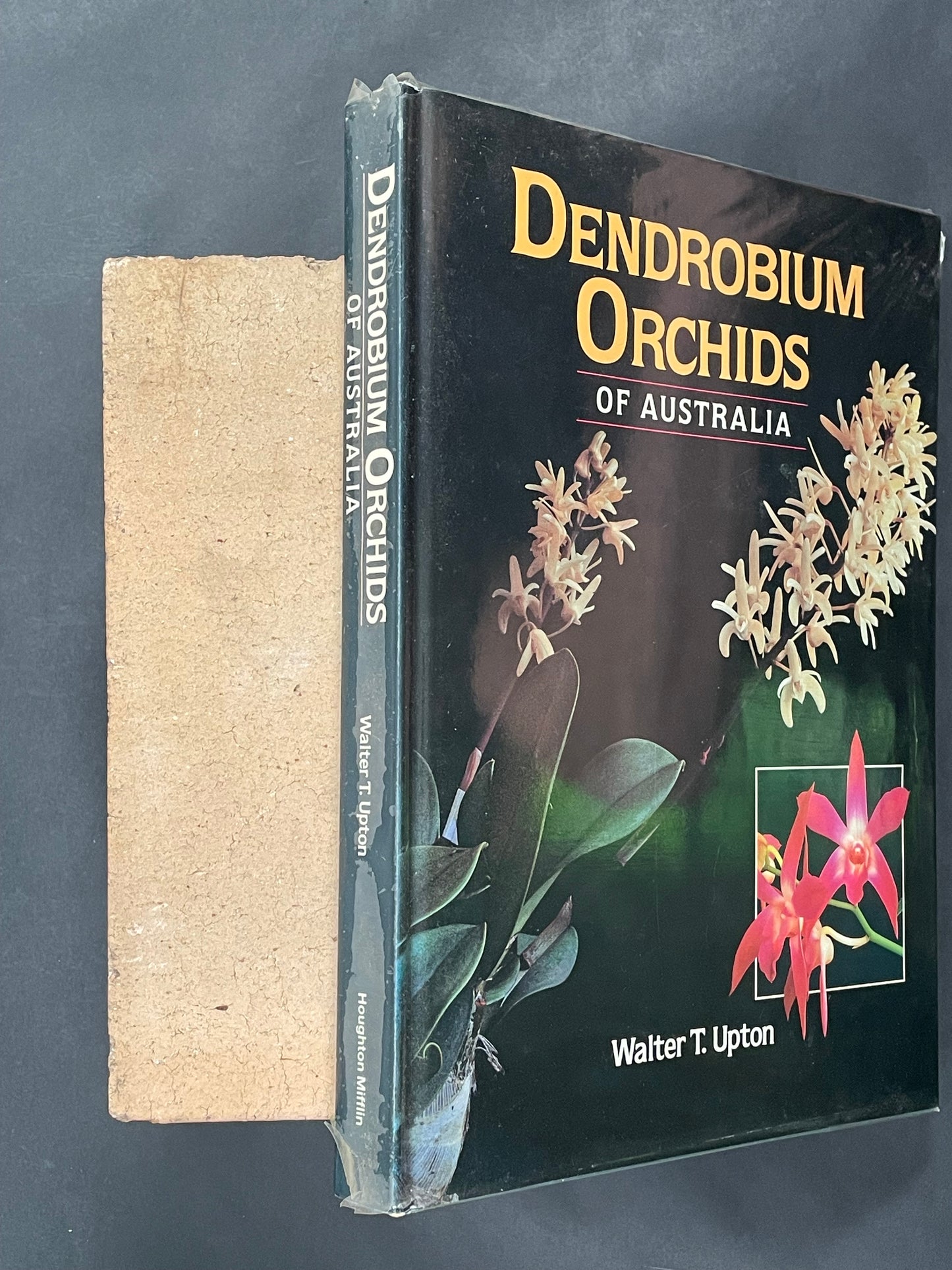 Dendrobium Orchids of Australia by W. T. Upton