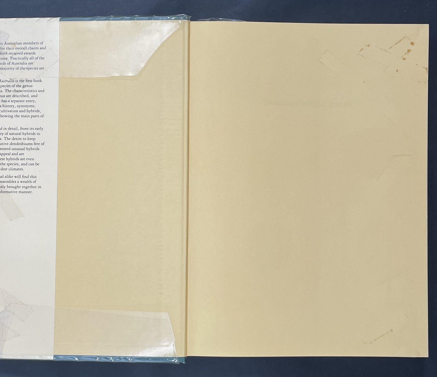 Dendrobium Orchids of Australia by W. T. Upton