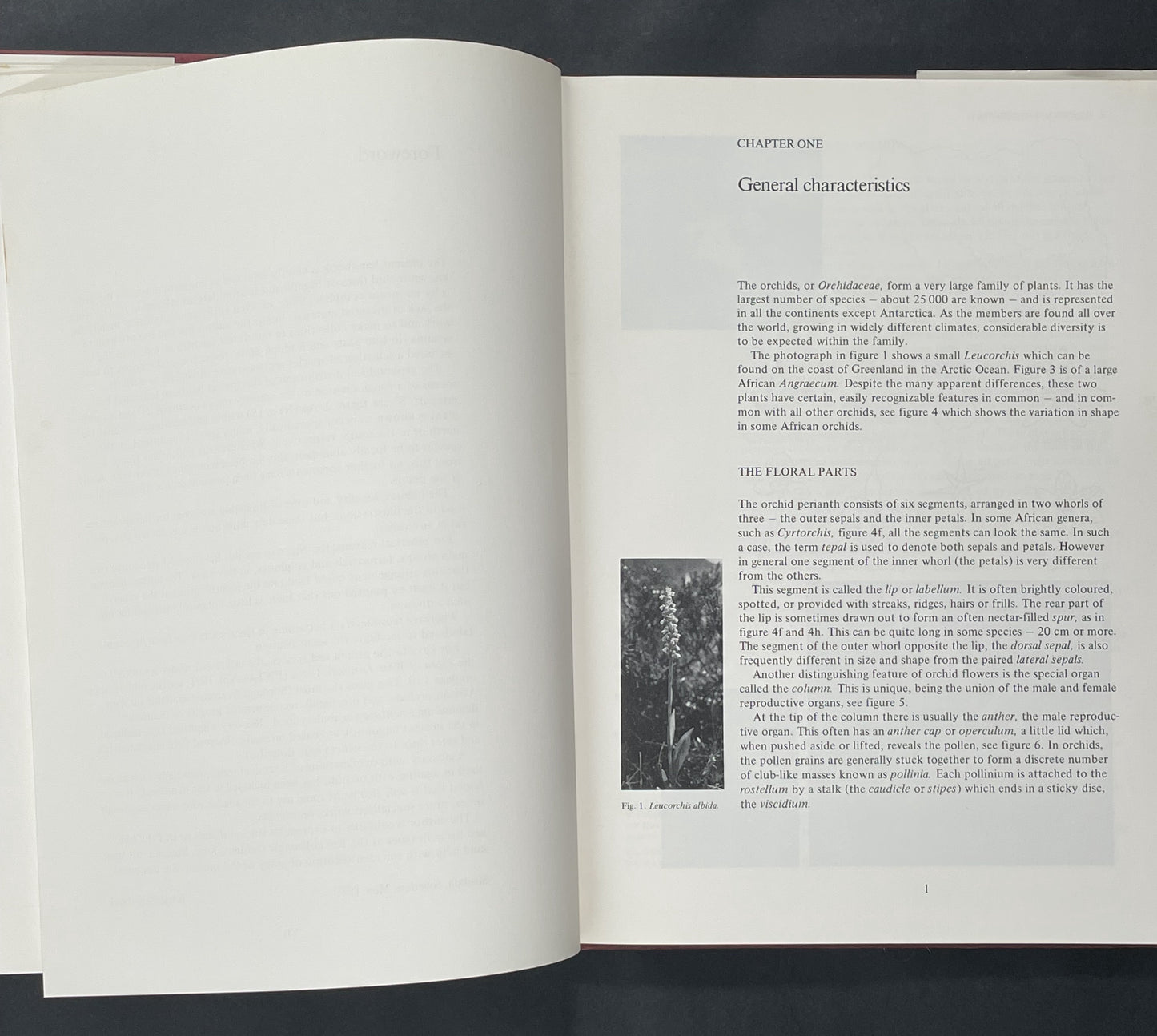 Orchids of Nigeria by L.B. Segerback