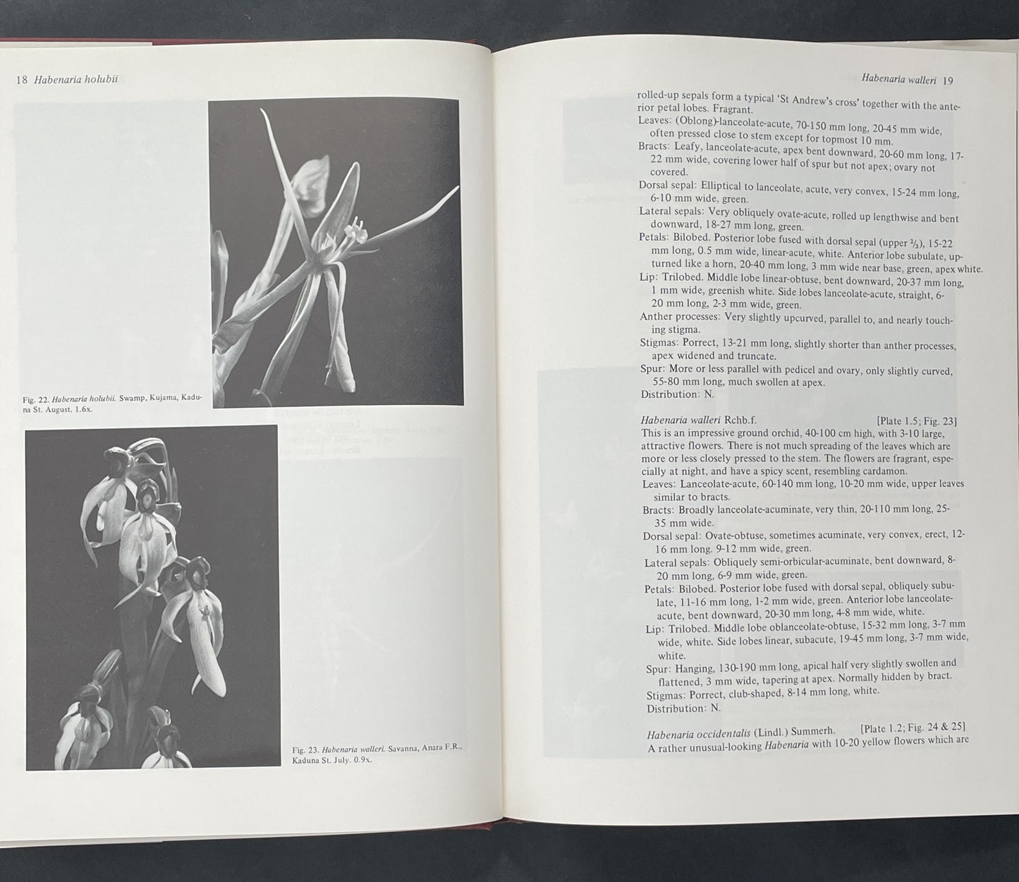 Orchids of Nigeria by L.B. Segerback