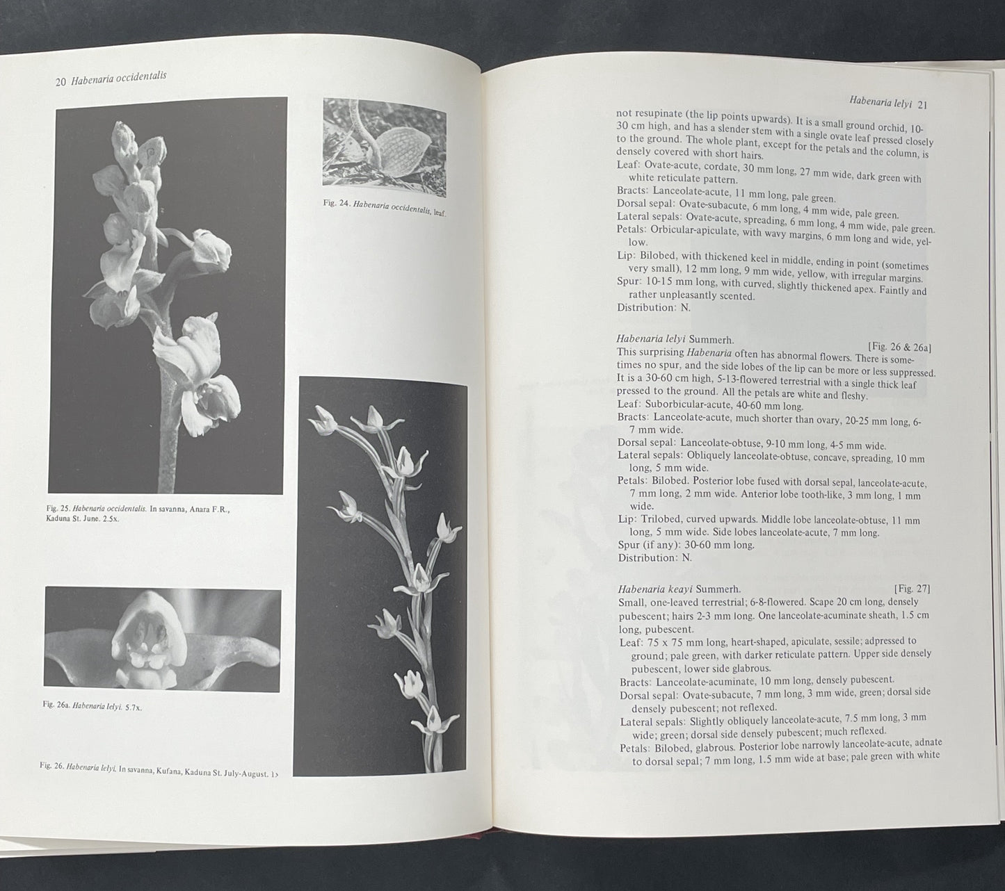 Orchids of Nigeria by L.B. Segerback