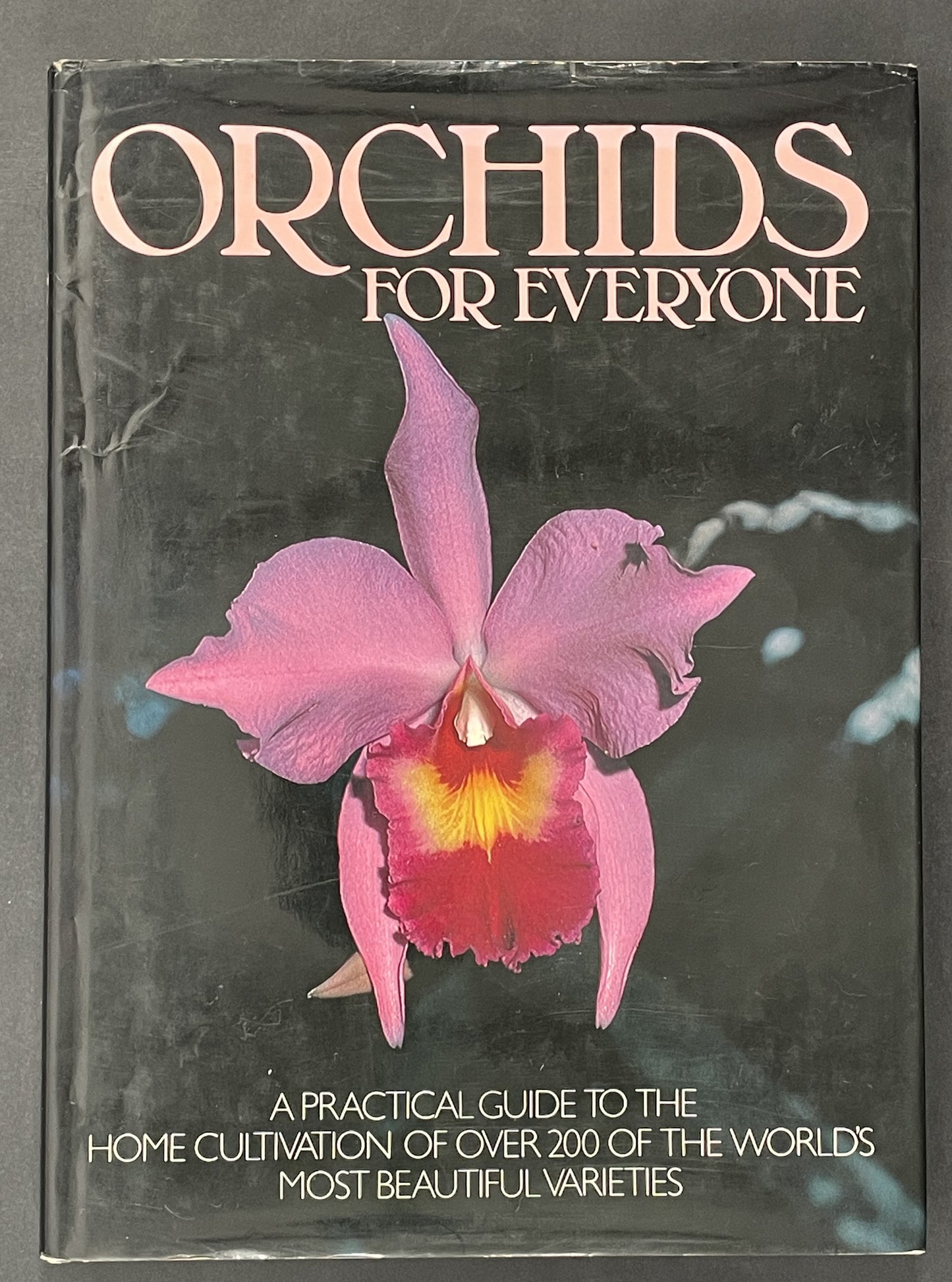 Orchids for Everyone by Brian Williams