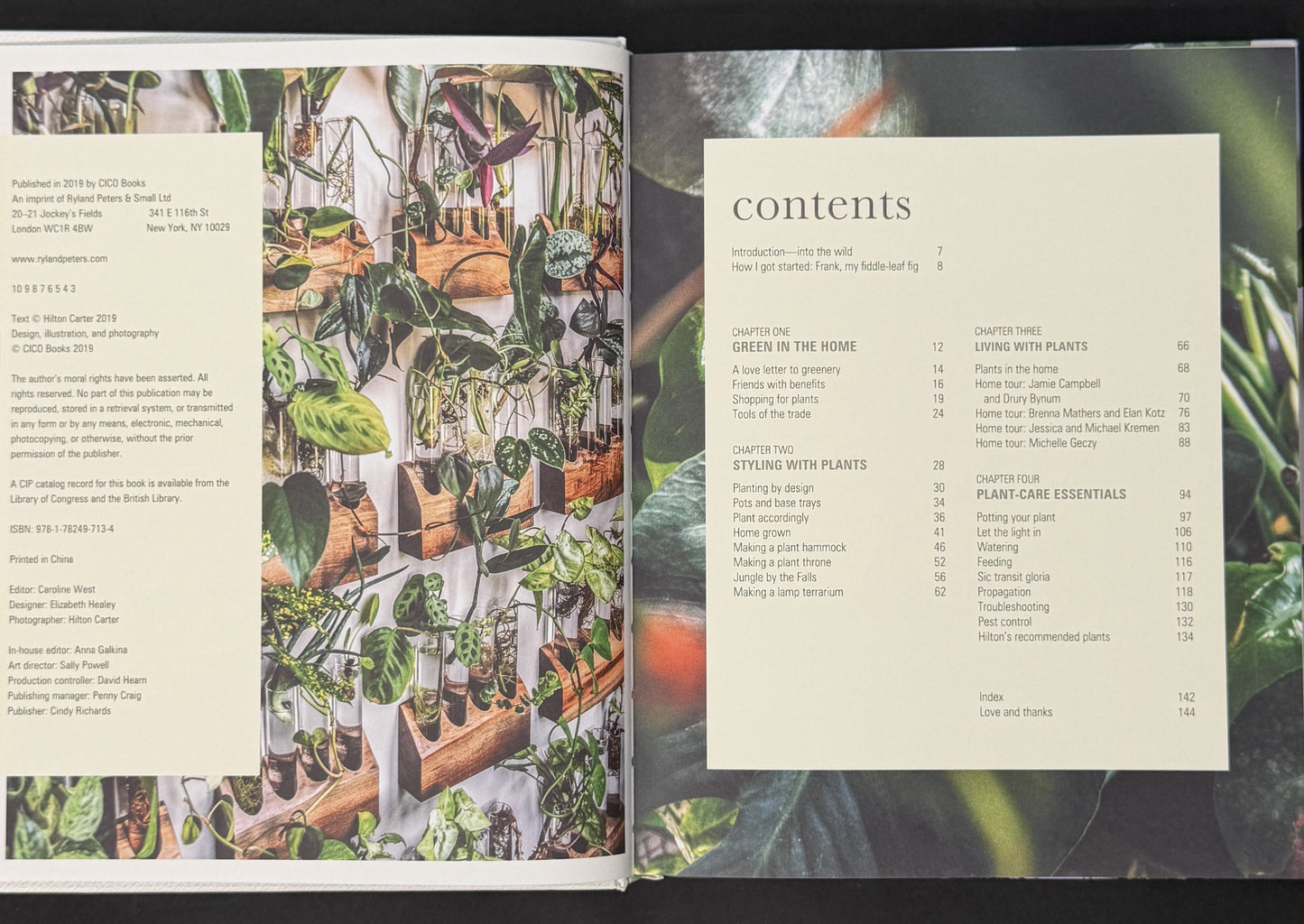 Wild at Home by Hilton Carter