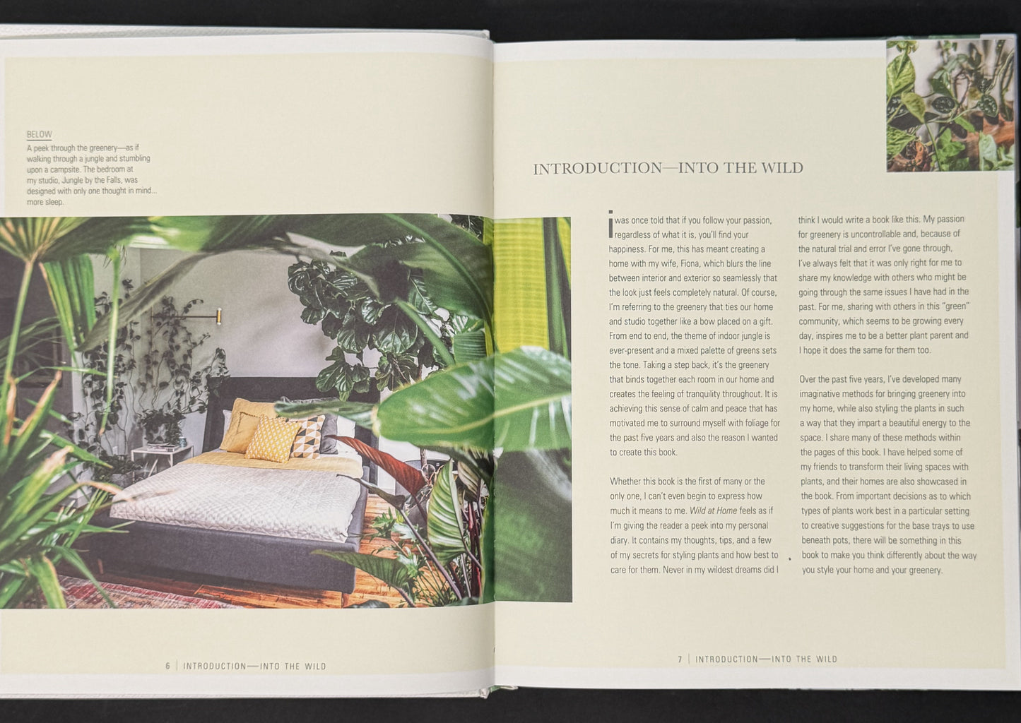 Wild at Home by Hilton Carter