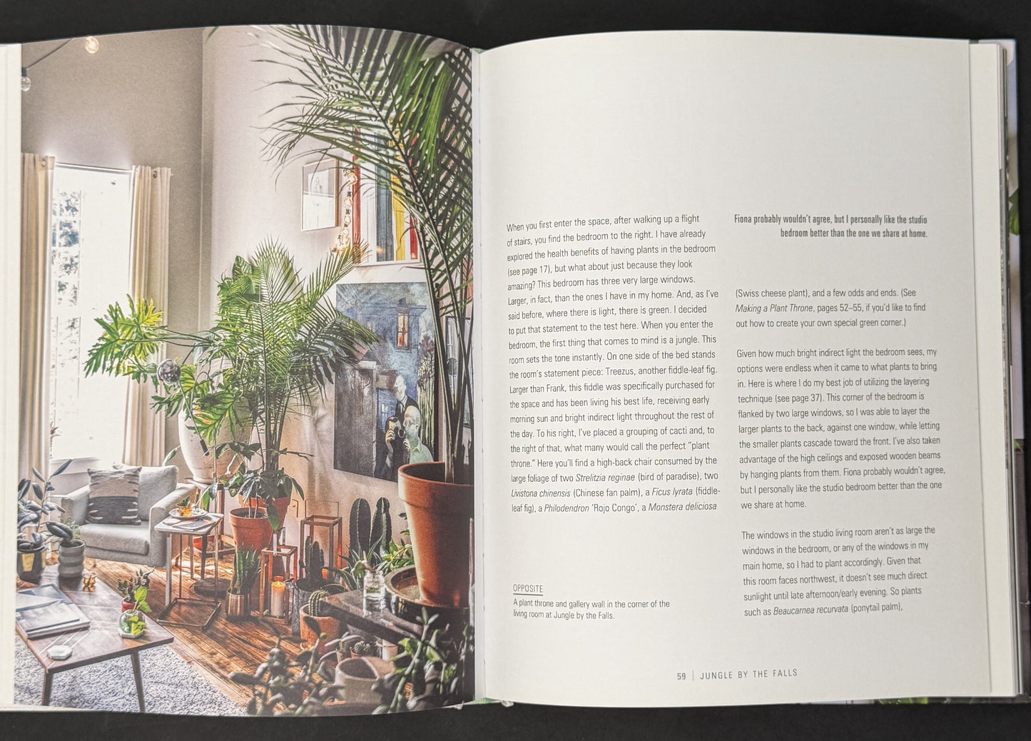 Wild at Home by Hilton Carter