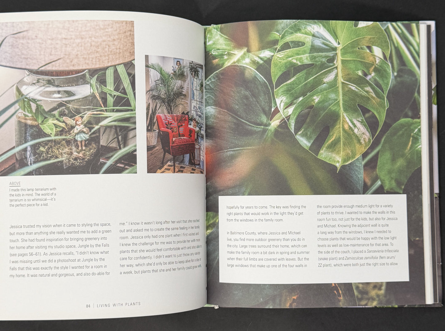 Wild at Home by Hilton Carter