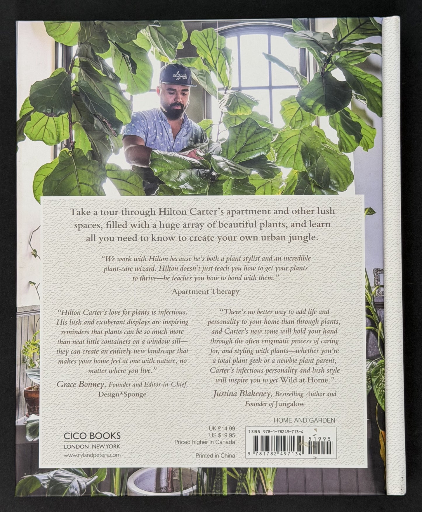 Wild at Home by Hilton Carter