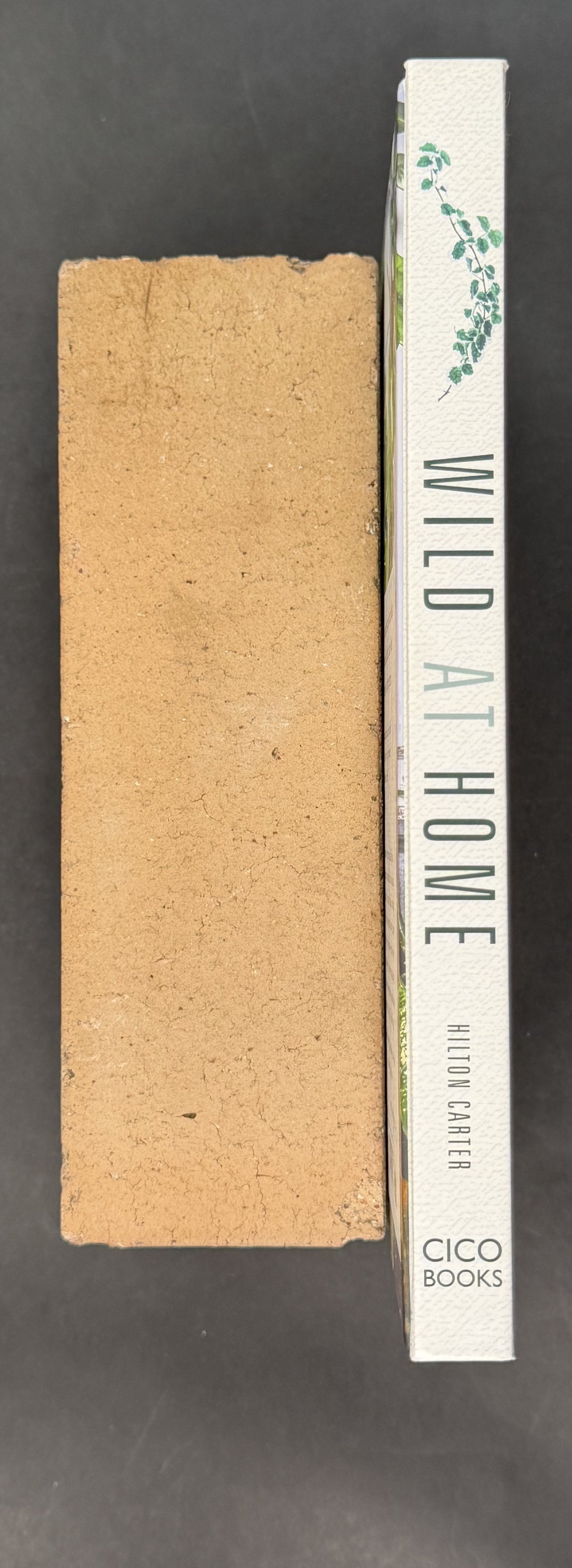 Wild at Home by Hilton Carter