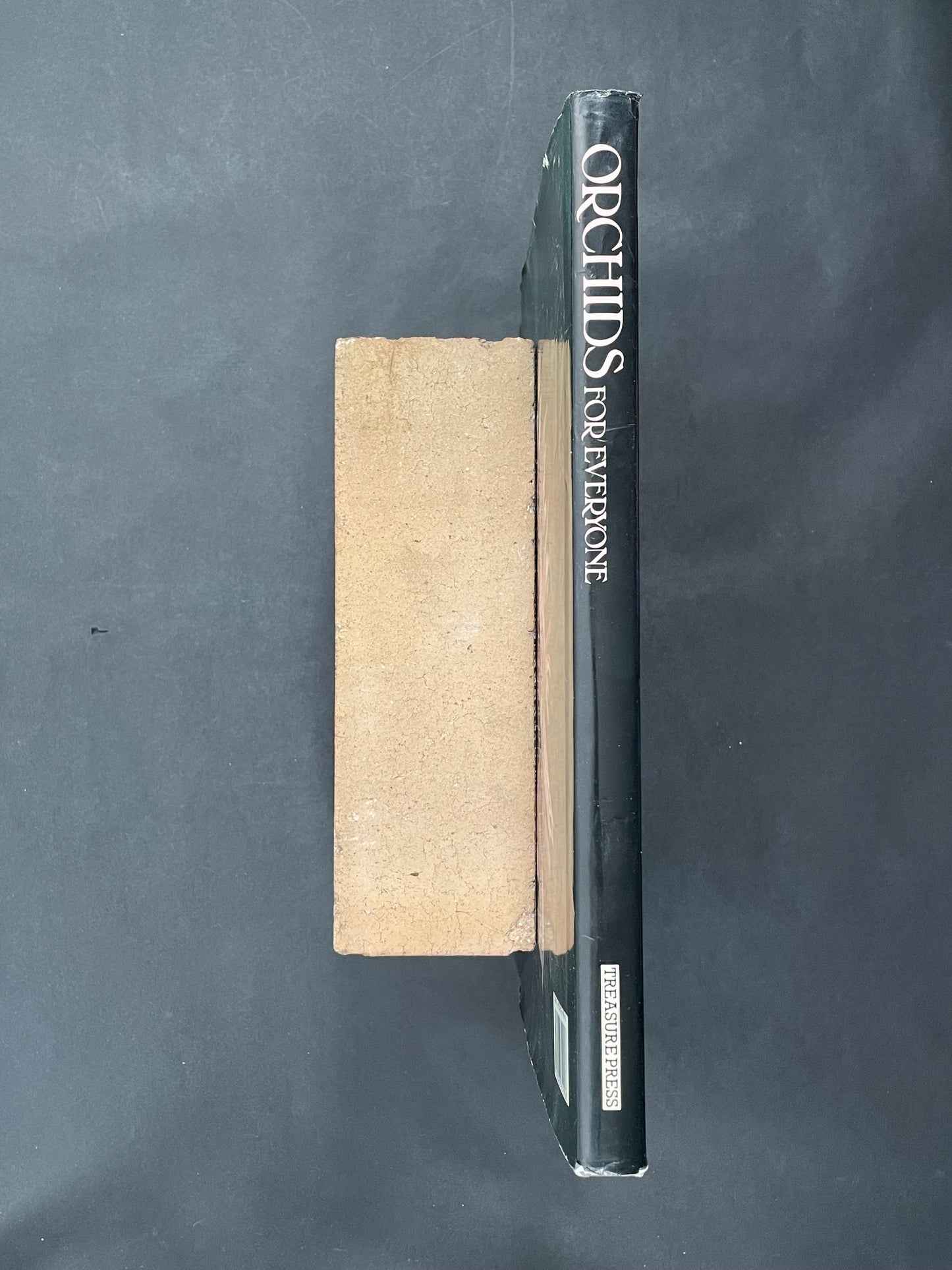 Orchids for Everyone by Brian Williams