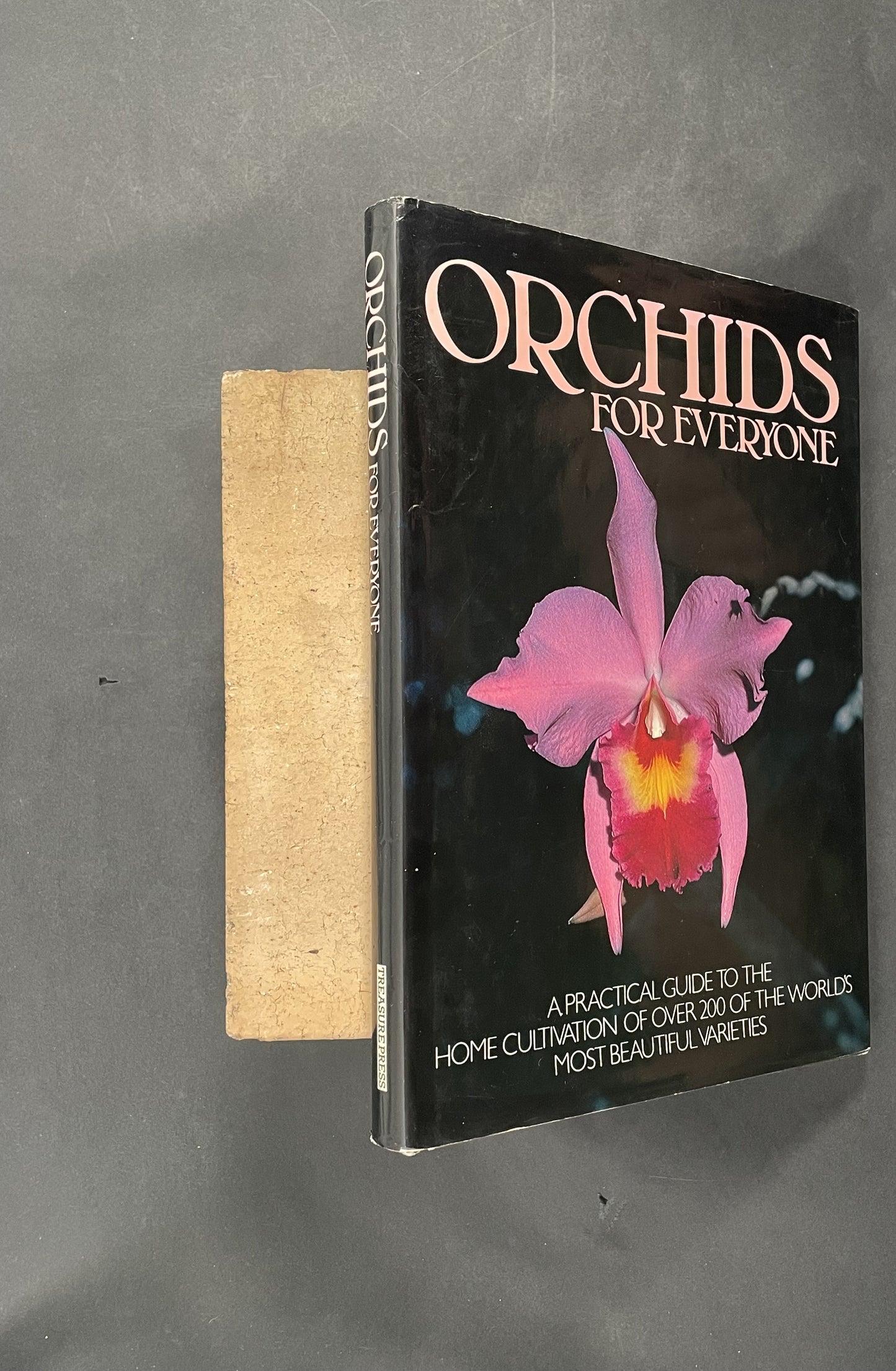 Orchids for Everyone by Brian Williams