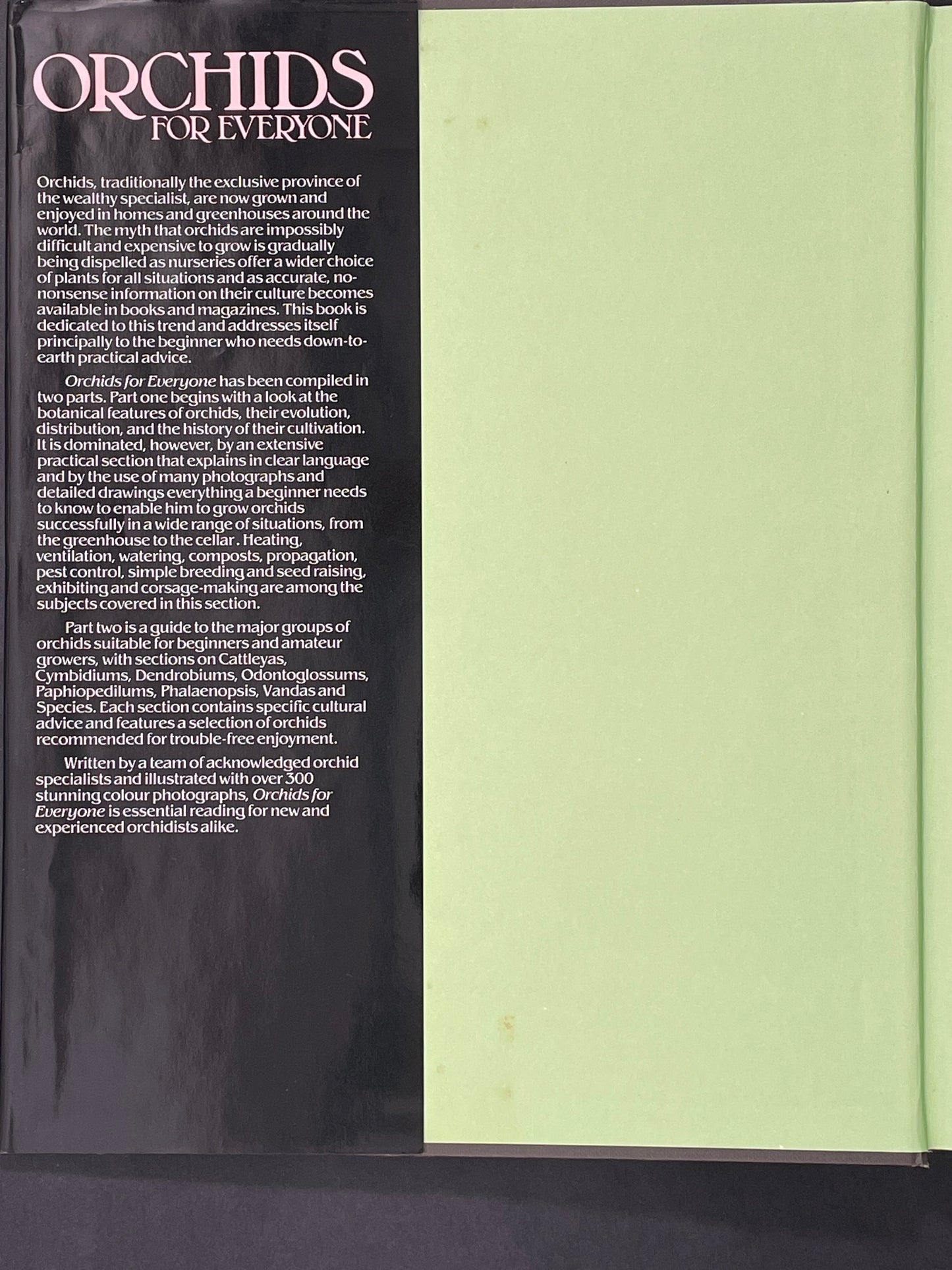 Orchids for Everyone by Brian Williams