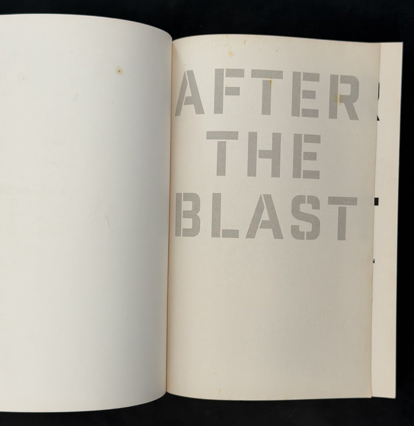 After the Blast by Garth Callendar