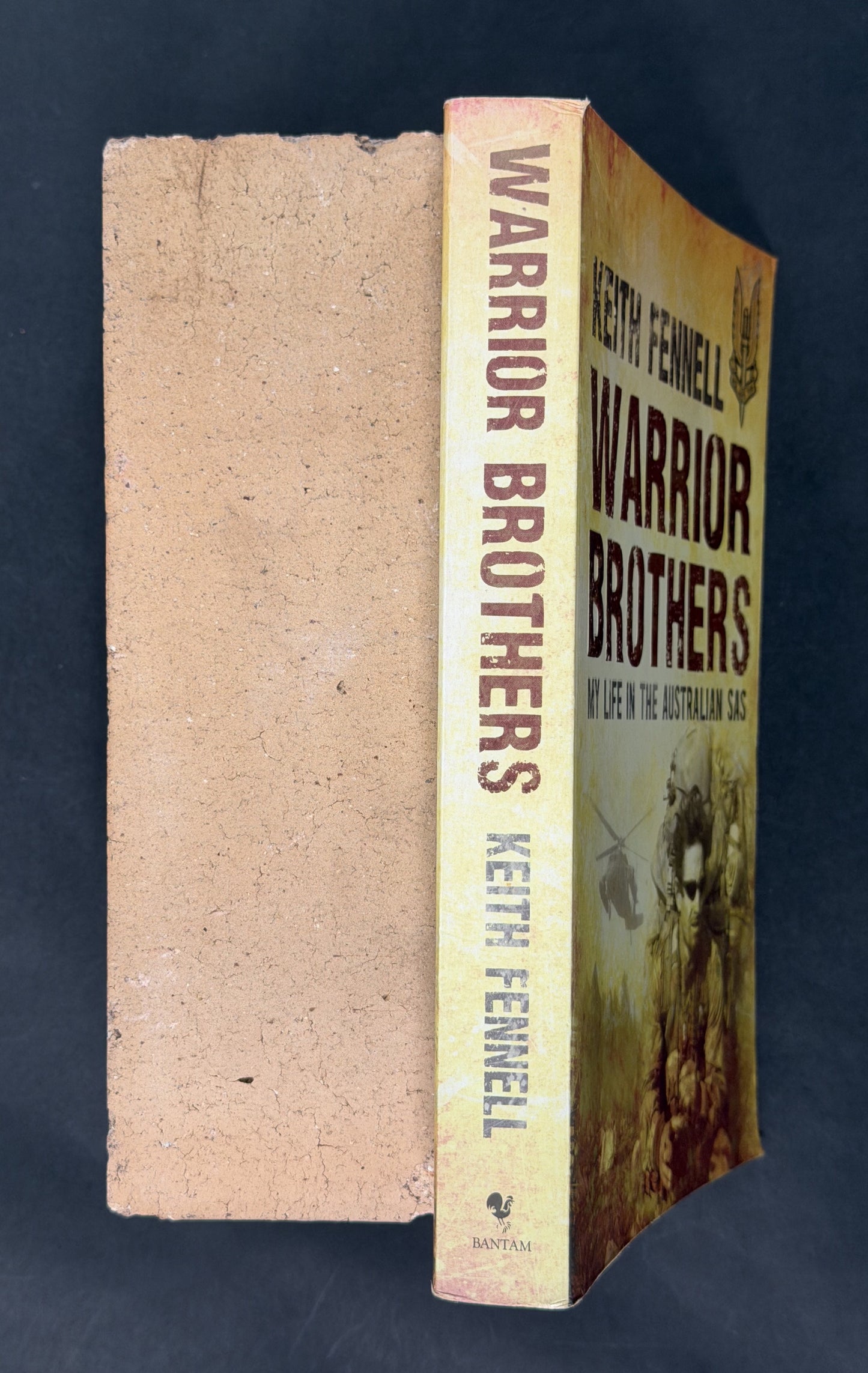 Warrior Brothers by Keith Fennell