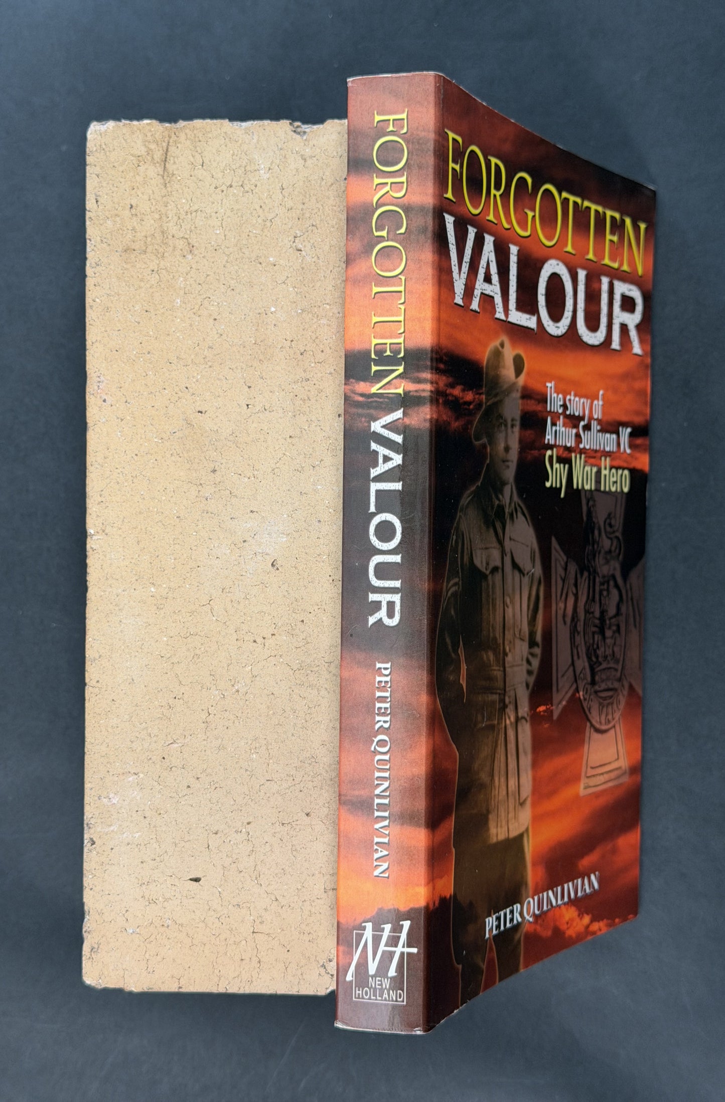 Forgotten Valour by Peter Quinlivian