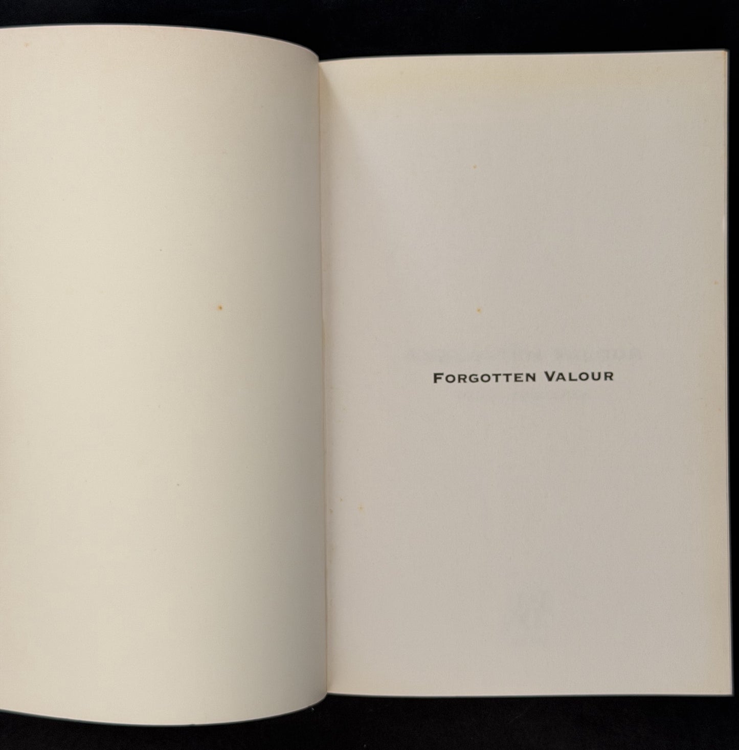 Forgotten Valour by Peter Quinlivian