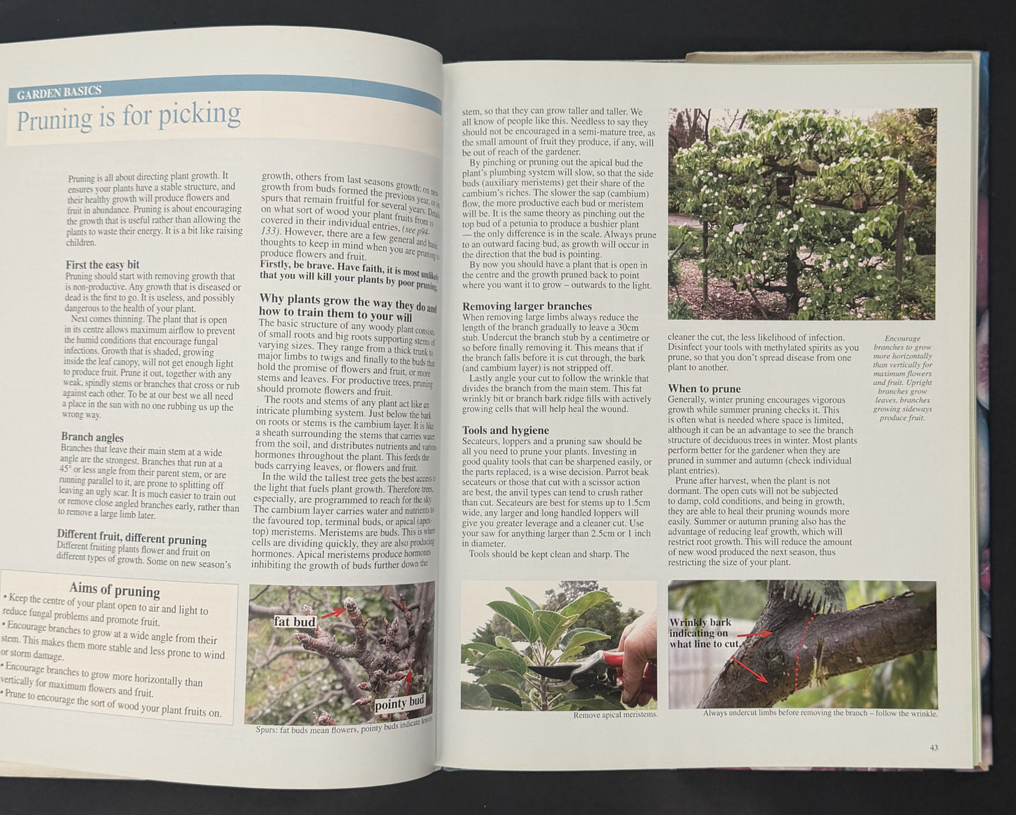 The Australian Fruit & Vegetable Garden by Clive Blazey, Jane Varkulevicius