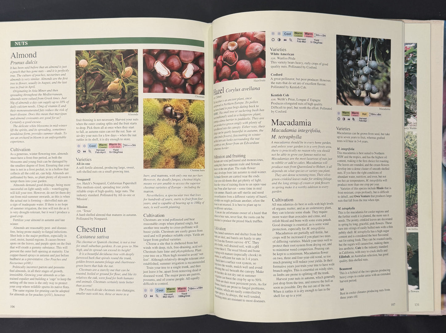 The Australian Fruit & Vegetable Garden by Clive Blazey, Jane Varkulevicius