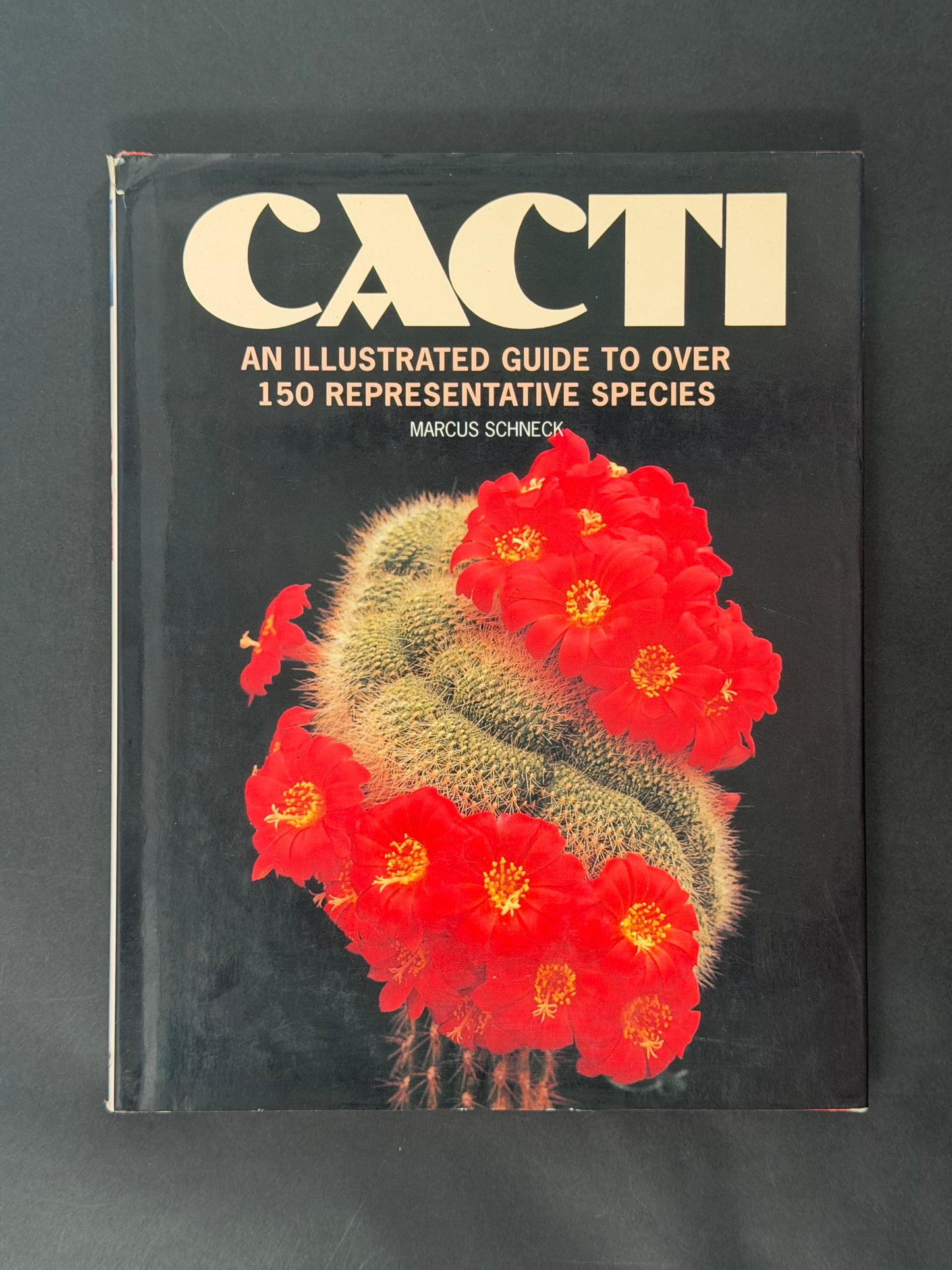 Cacti by Marcus Schneck