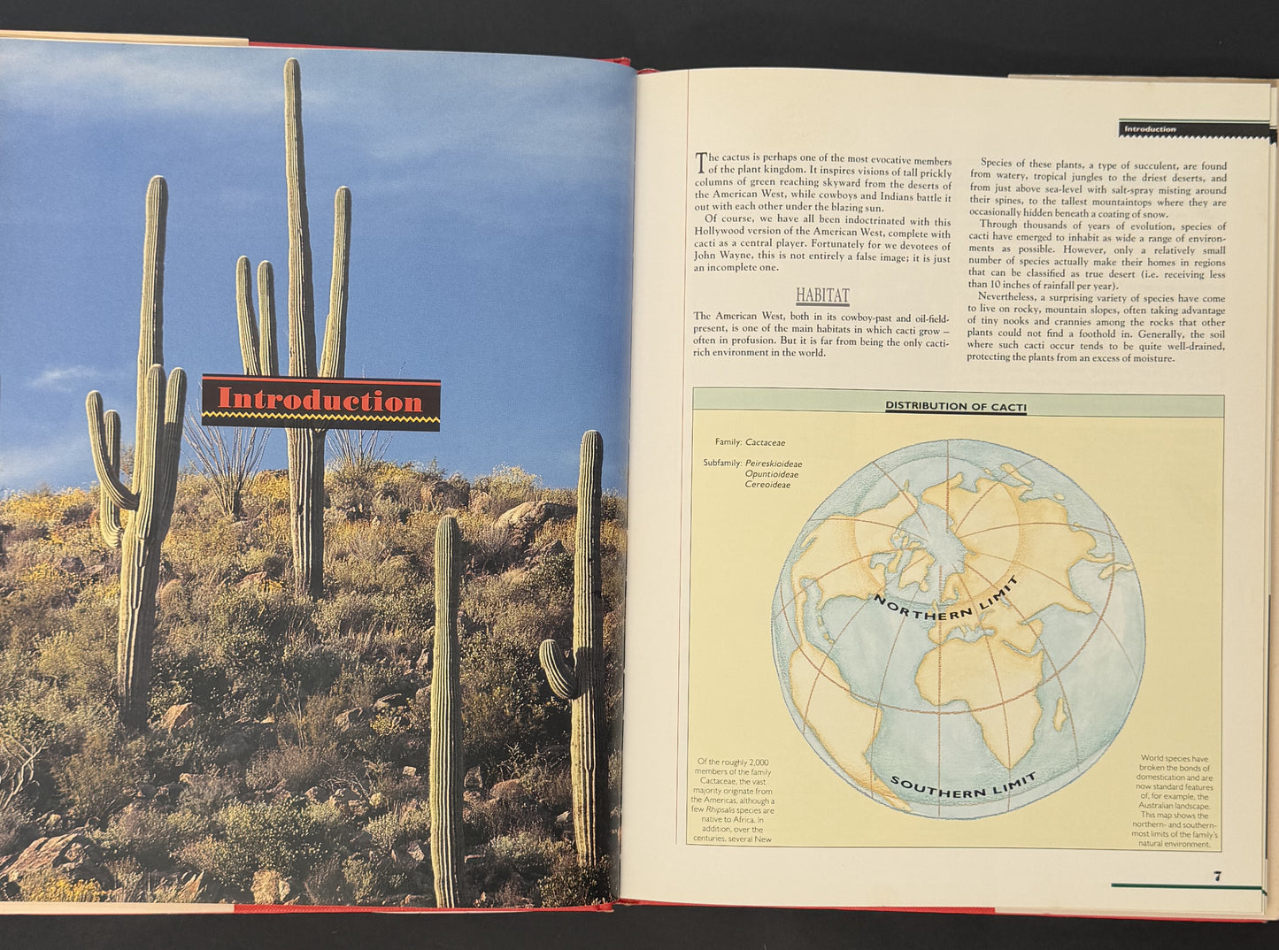 Cacti by Marcus Schneck