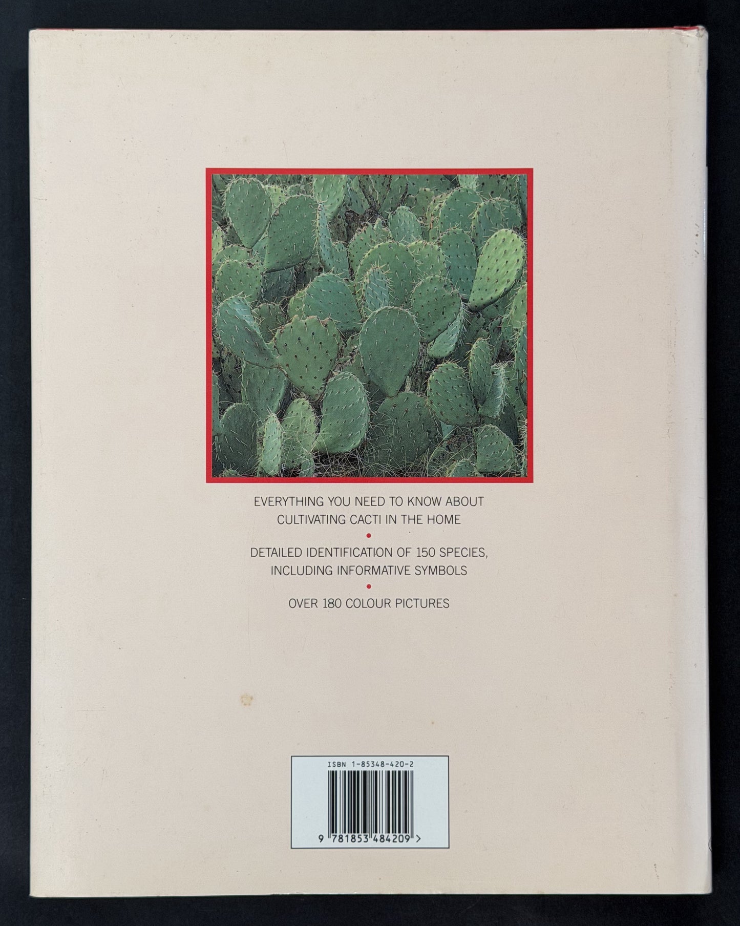 Cacti by Marcus Schneck