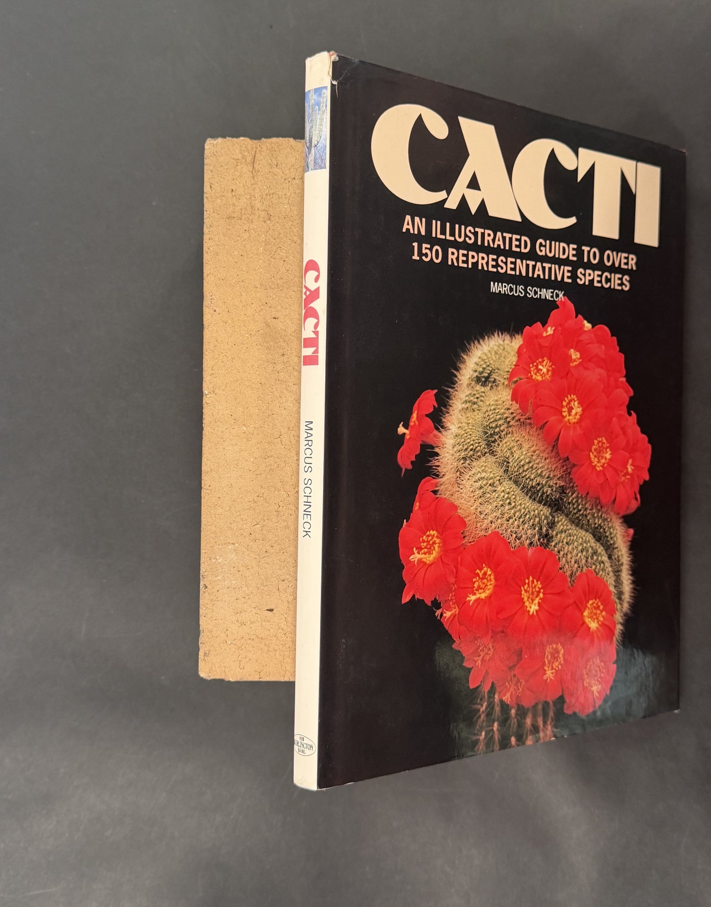 Cacti by Marcus Schneck