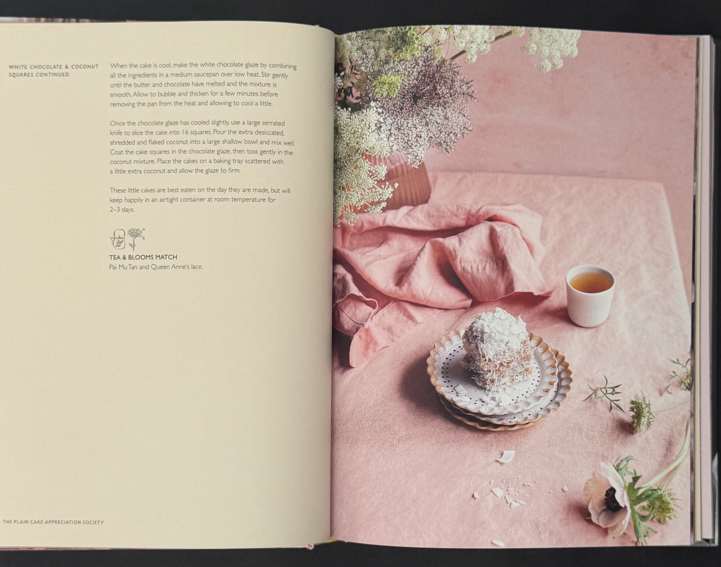 The Plain Cake Appreciation Society by Tilly Pamment
