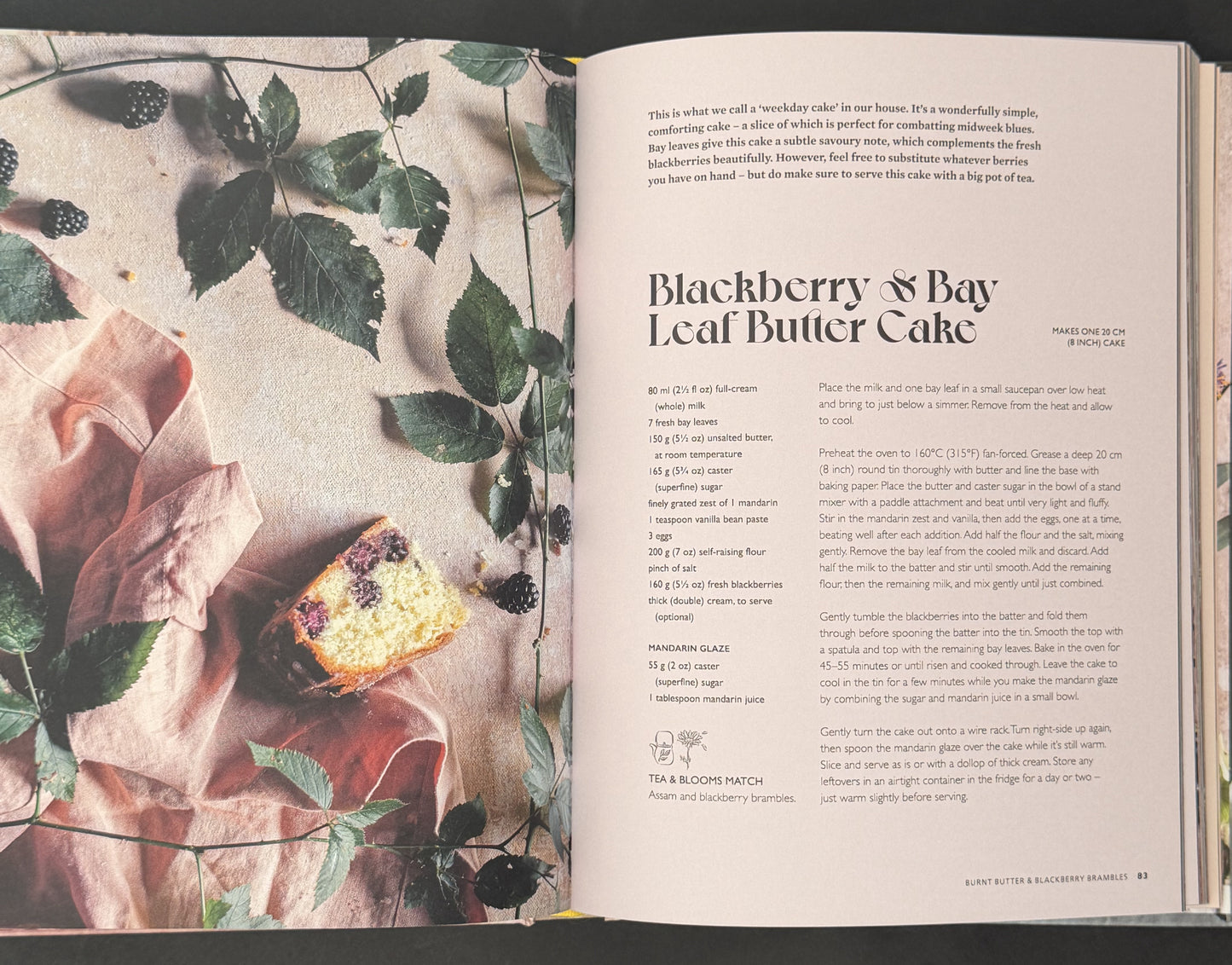 The Plain Cake Appreciation Society by Tilly Pamment