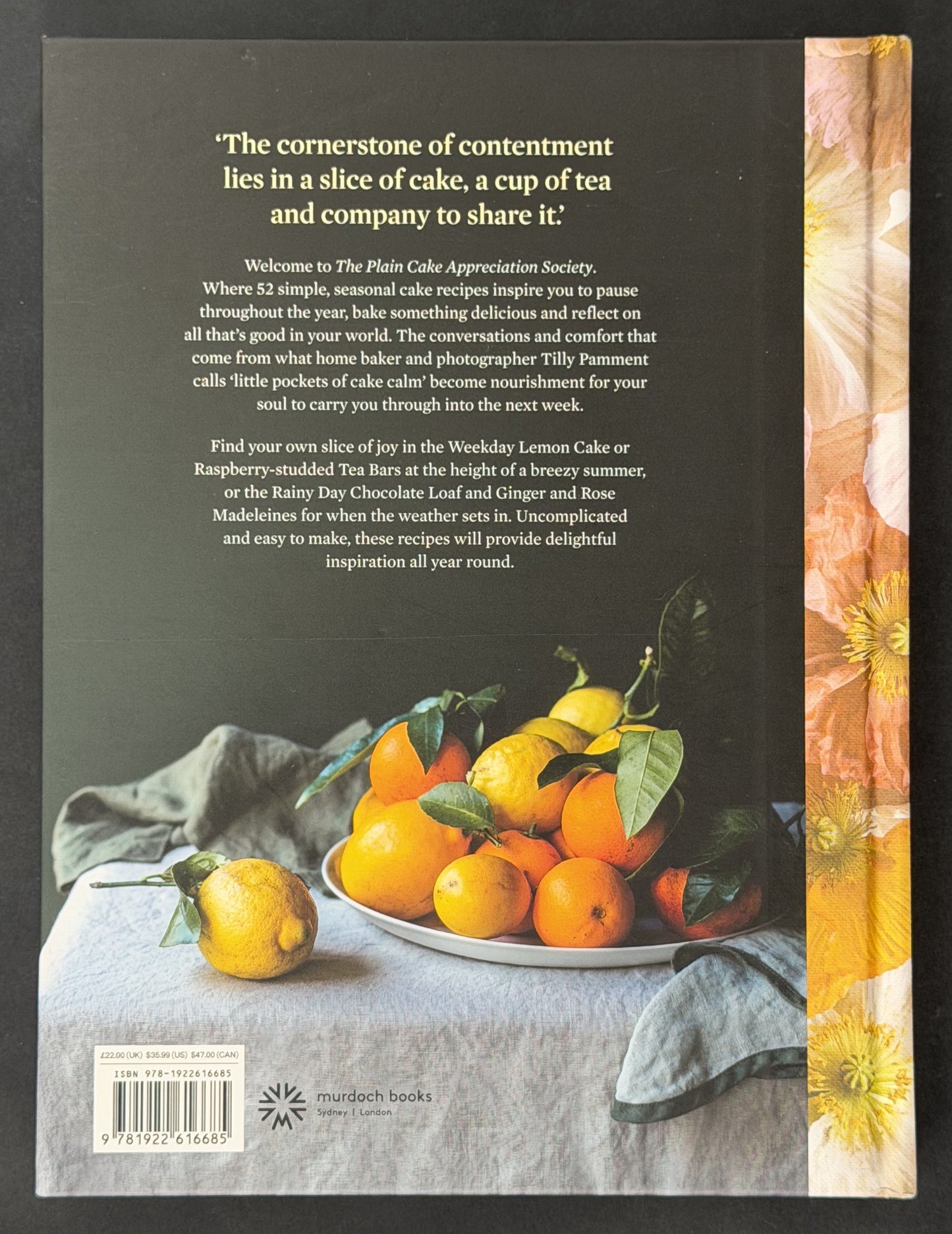 The Plain Cake Appreciation Society by Tilly Pamment