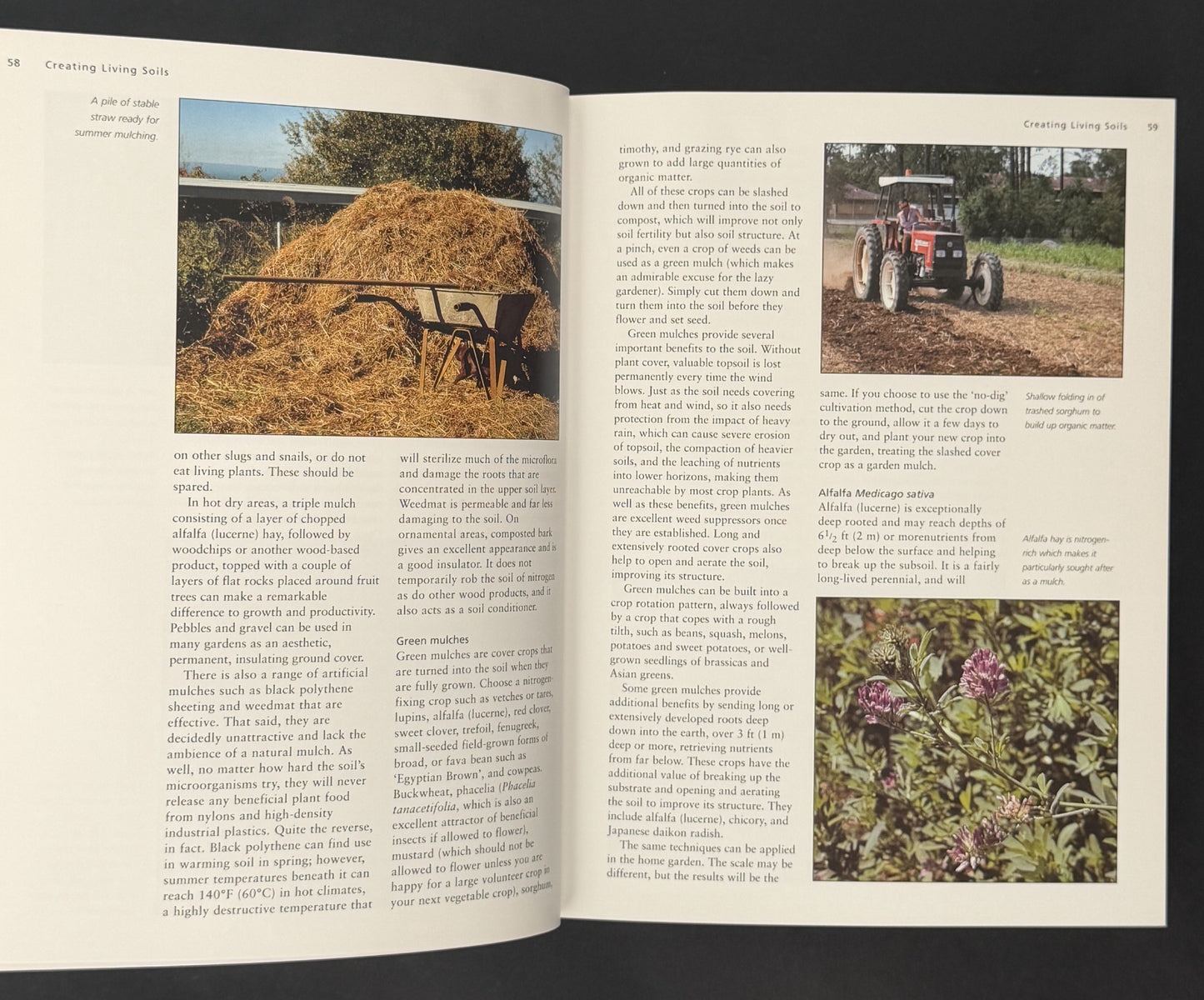 Botanica's Pocket Organic Gardening by Judyth McLeod