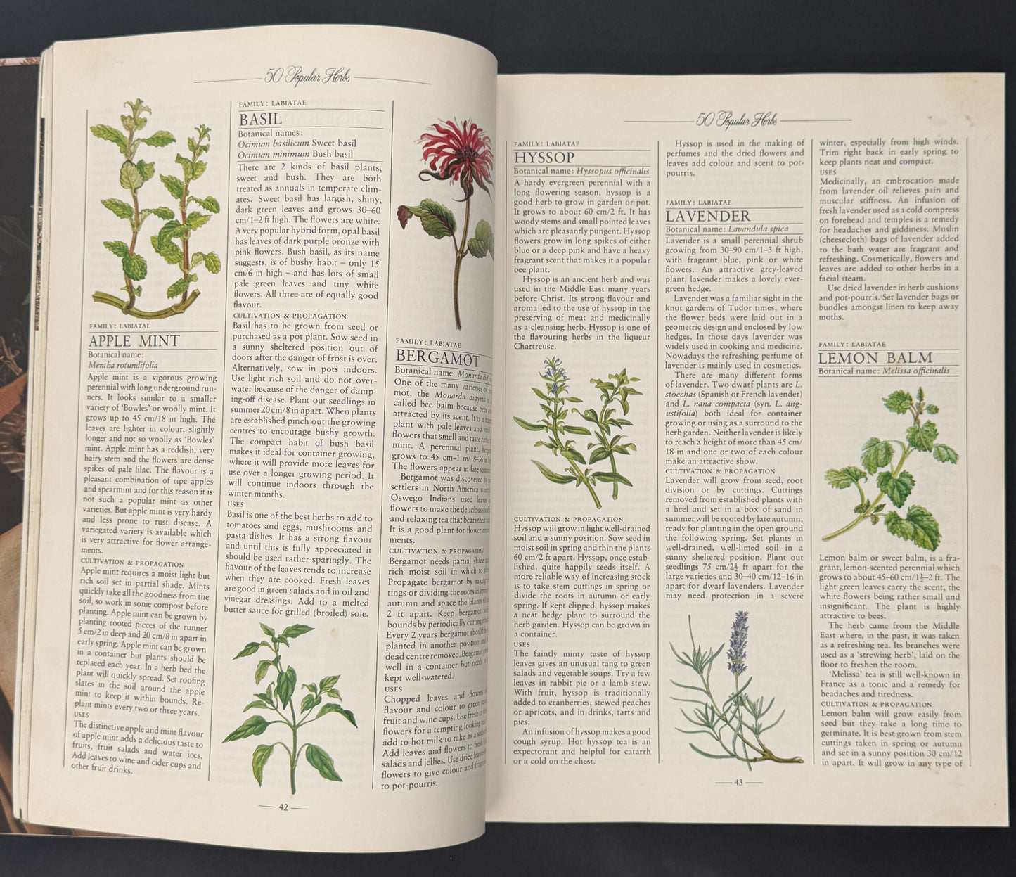The Herb Book by Arabella Boxer, Philippa Back