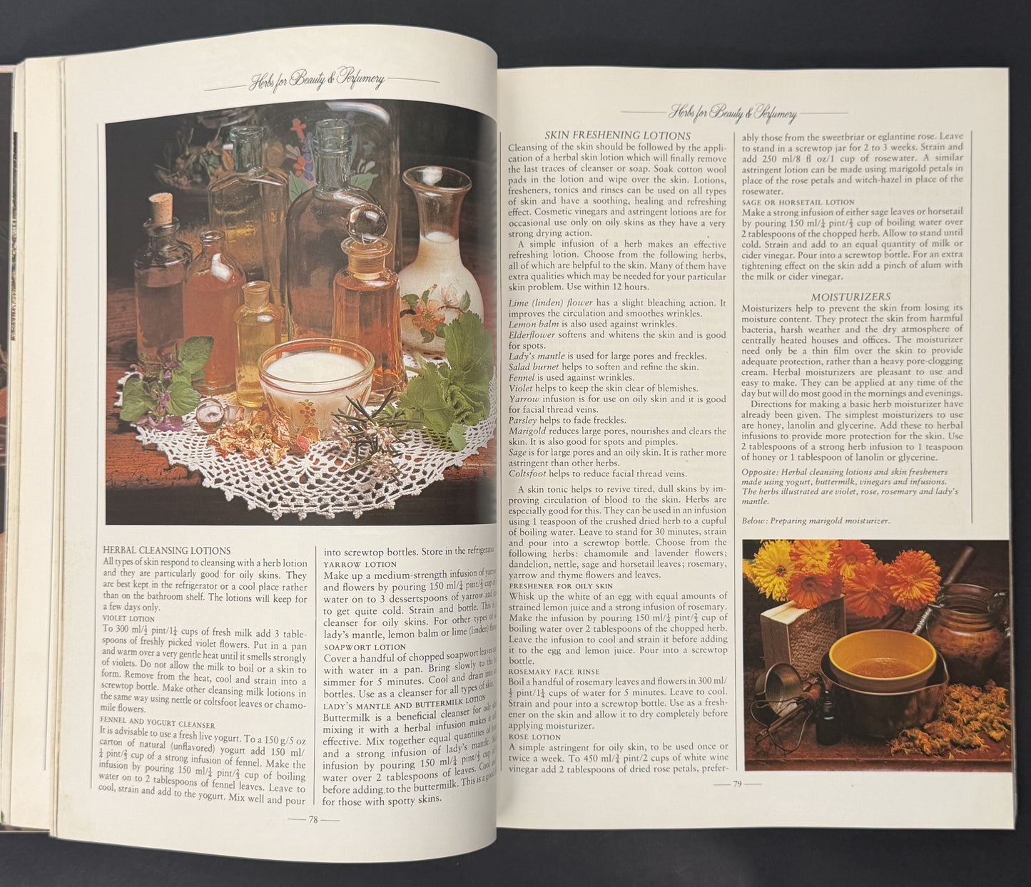 The Herb Book by Arabella Boxer, Philippa Back