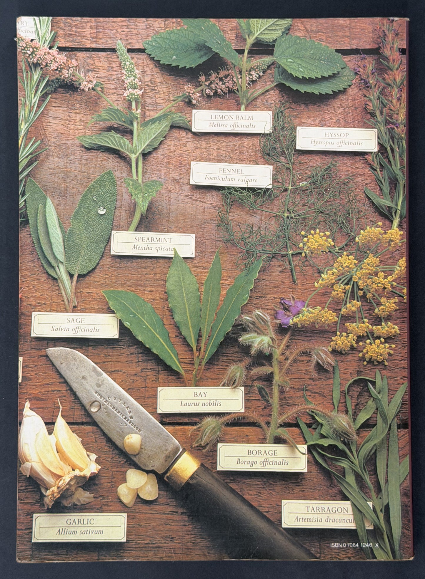 The Herb Book by Arabella Boxer, Philippa Back