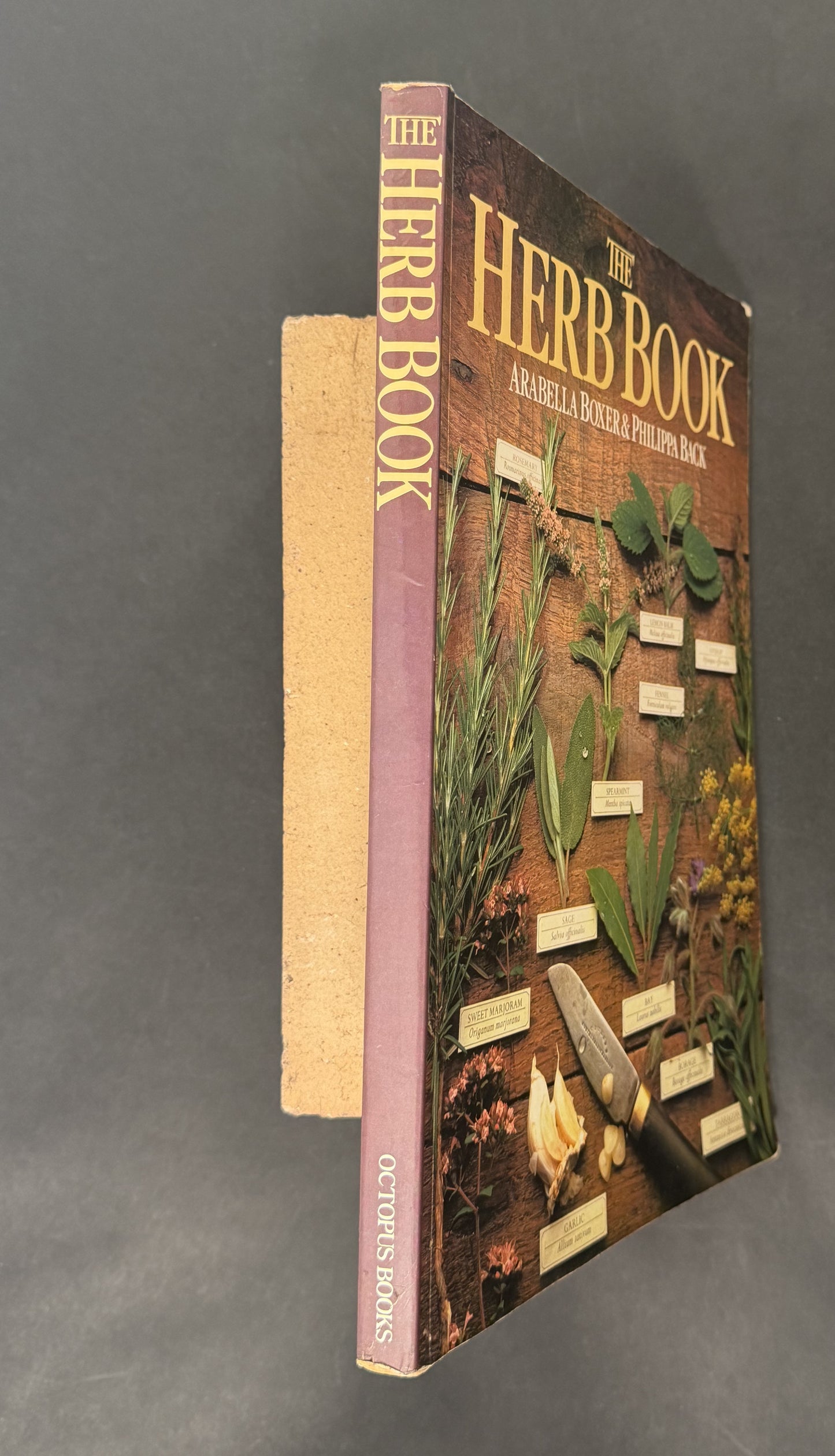 The Herb Book by Arabella Boxer, Philippa Back