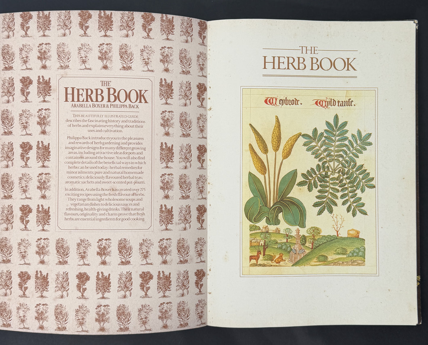 The Herb Book by Arabella Boxer, Philippa Back