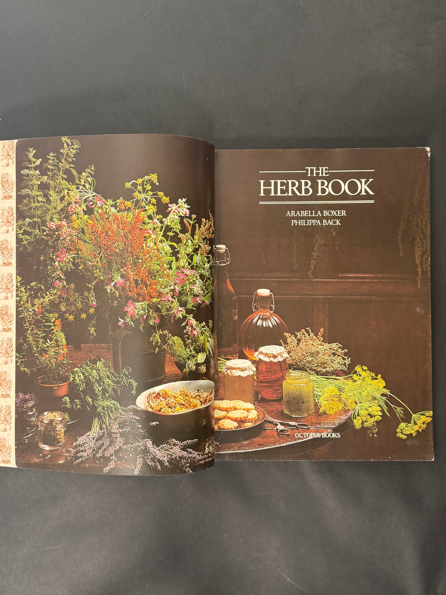The Herb Book by Arabella Boxer, Philippa Back