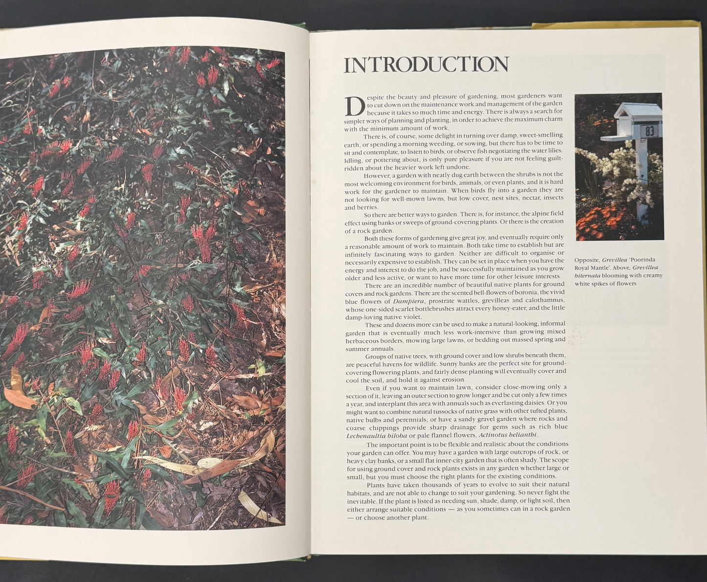 Australian Native Plants for Rockeries & Ground Cover by Frances Hutchison