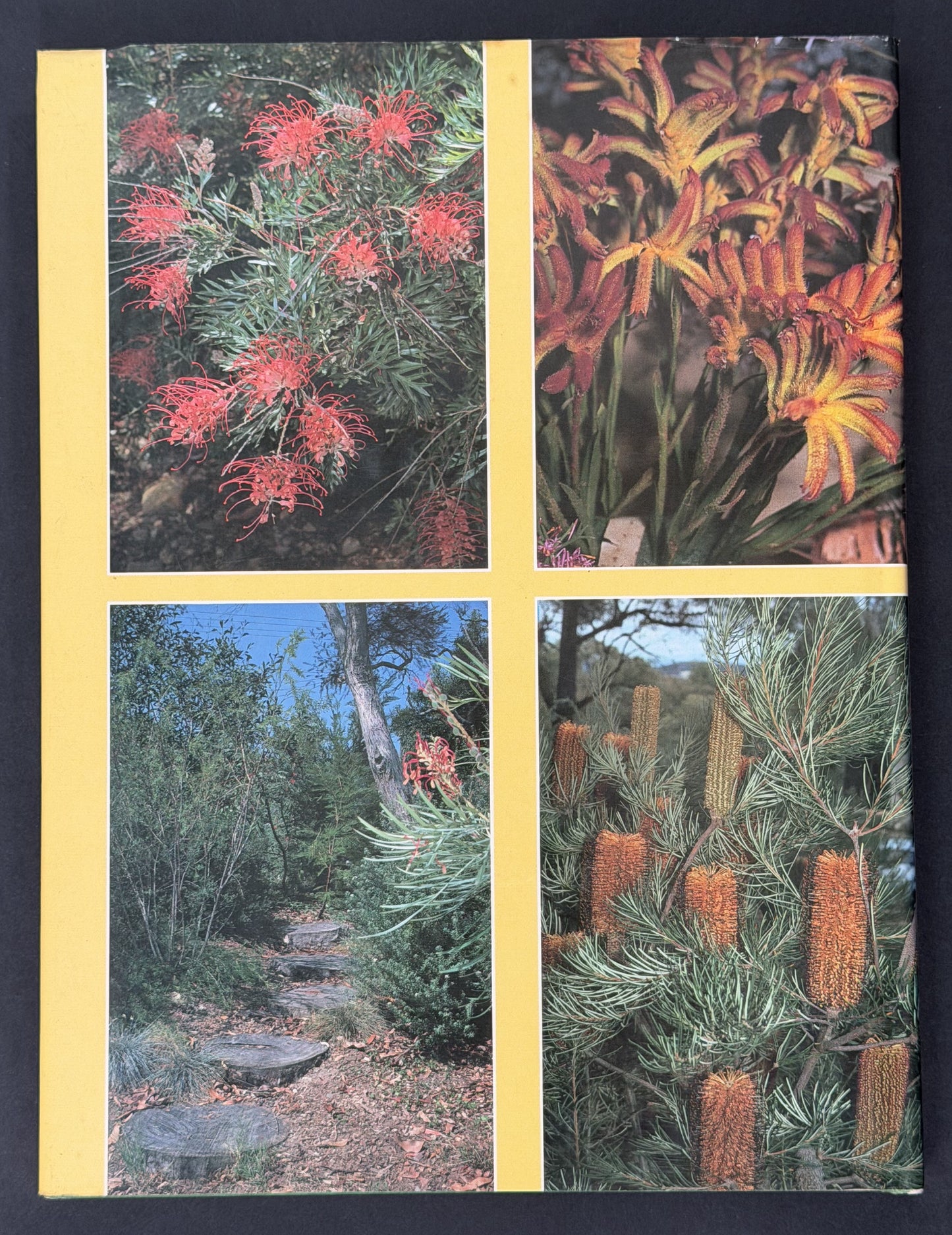 Australian Native Plants for Rockeries & Ground Cover by Frances Hutchison