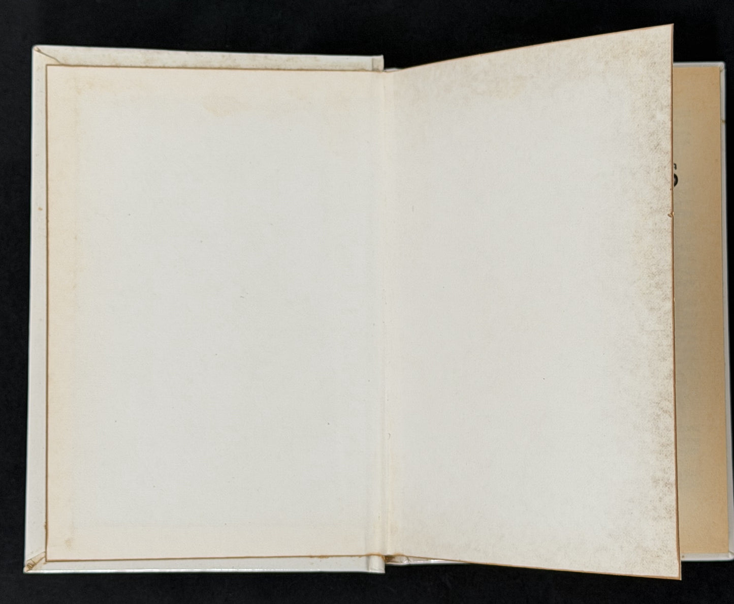 A-Z of Collector's Terms by Therle Hughes