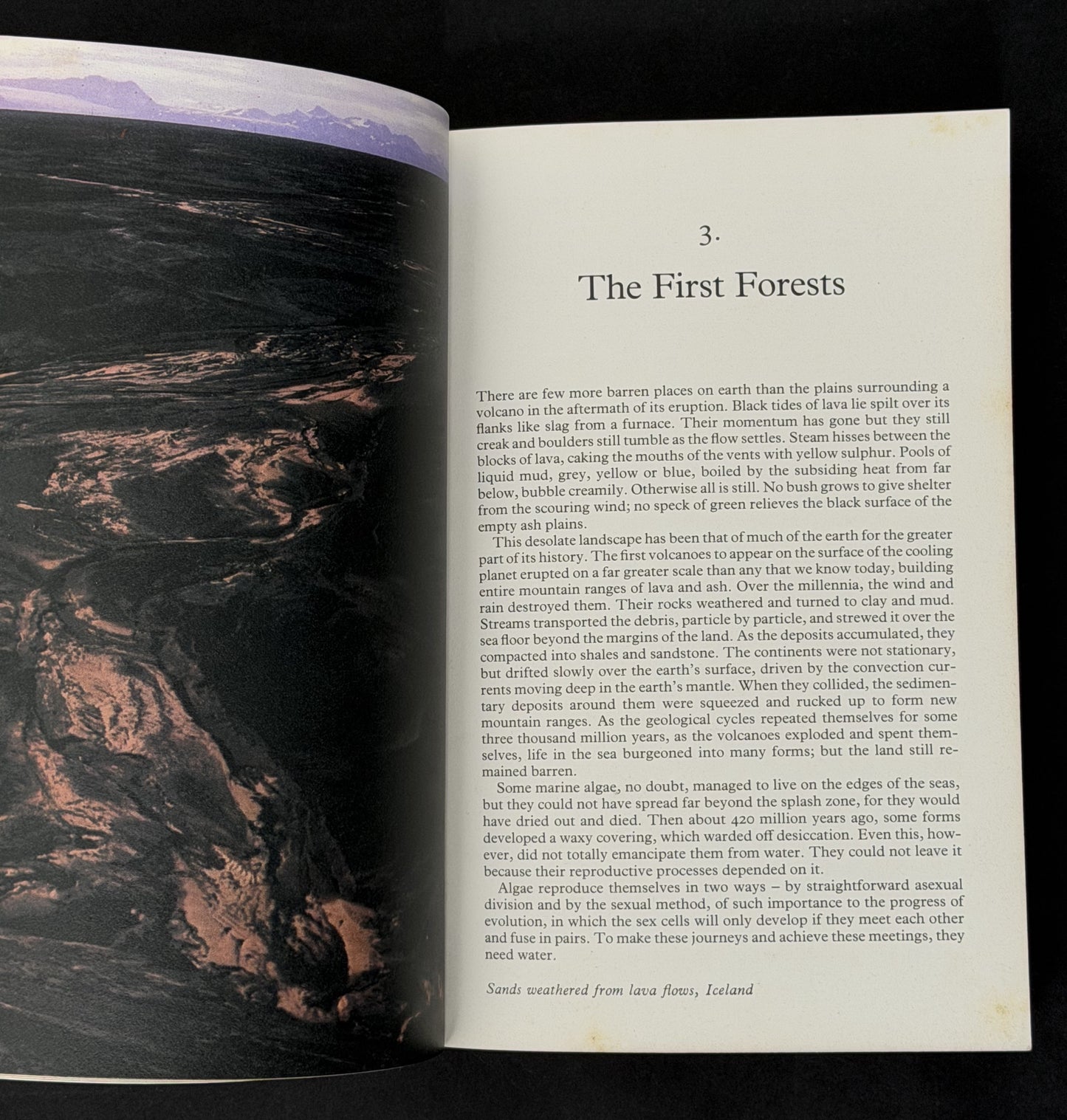 Life on Earth by David Attenborough