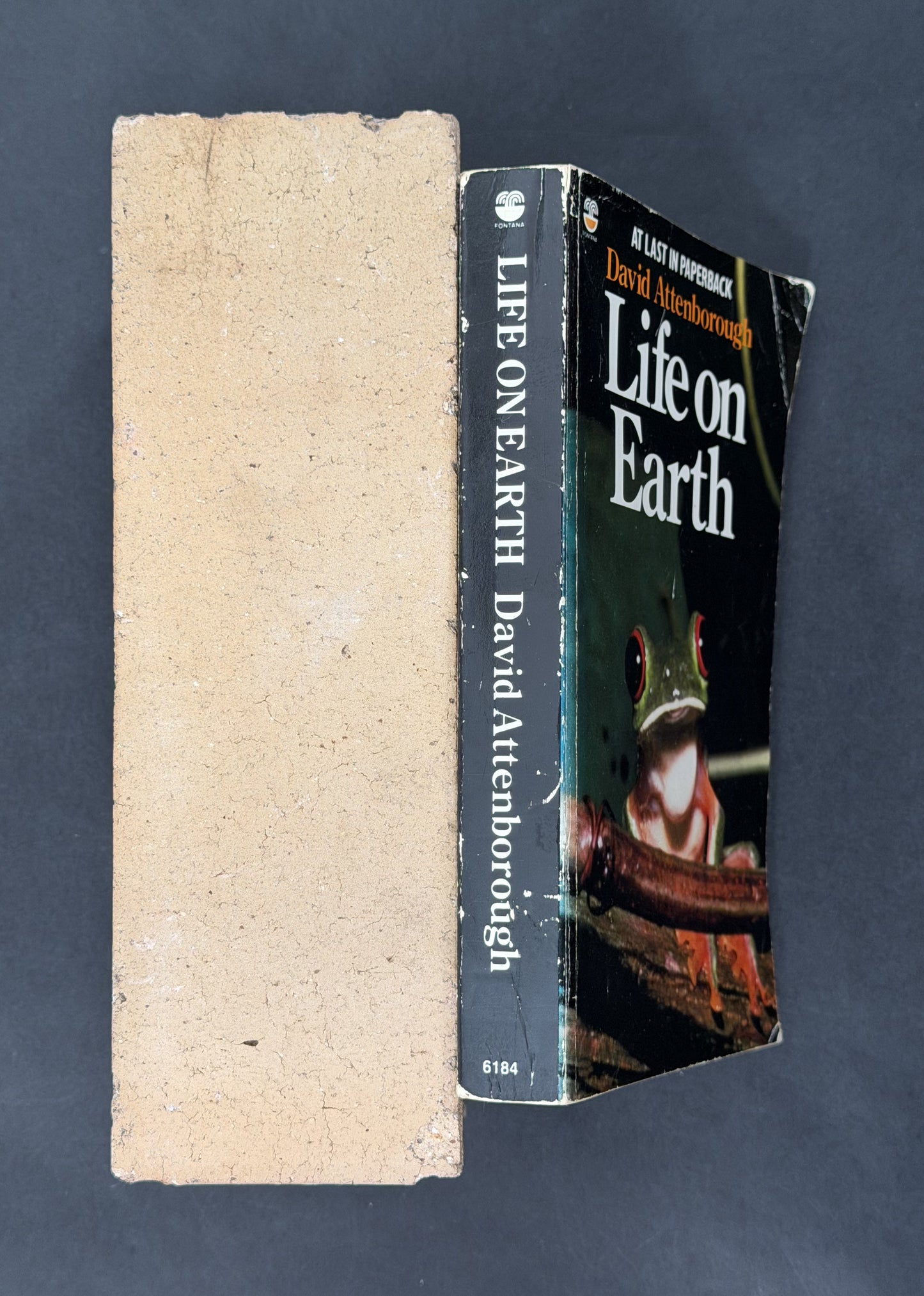 Life on Earth by David Attenborough