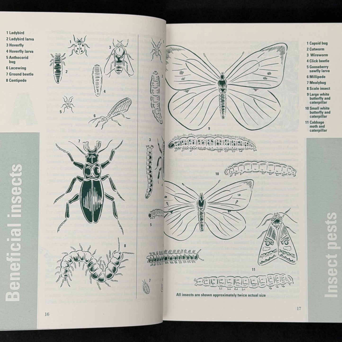 G is for EcoGarden by Nigel Dudley, Sue Stickland