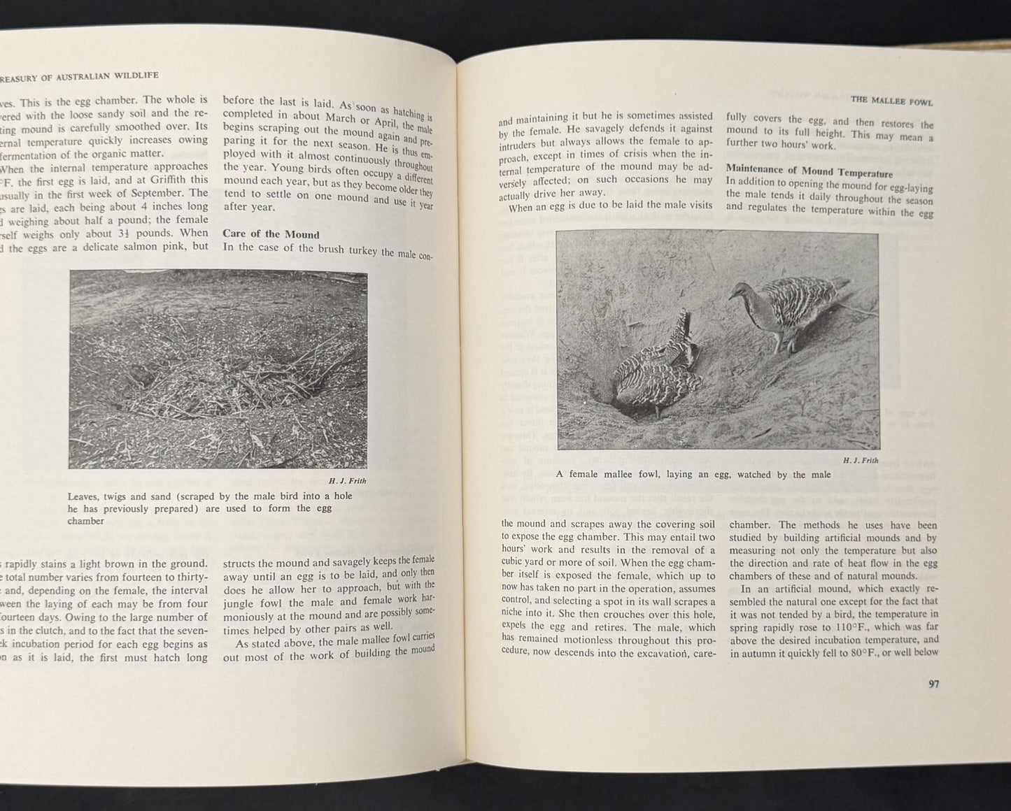A Treasury of Australian Wildlife by Donald F. McMichael