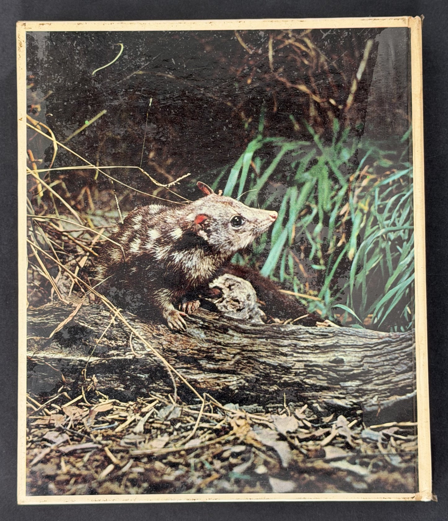 A Treasury of Australian Wildlife by Donald F. McMichael
