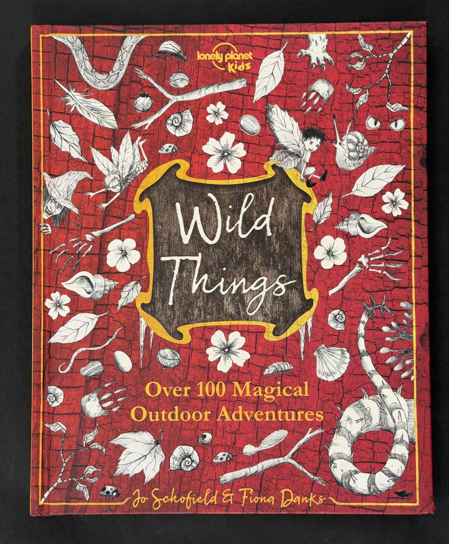 The Wild Things by Lonely Planet Kids, Fiona Danks, Jo Schofield