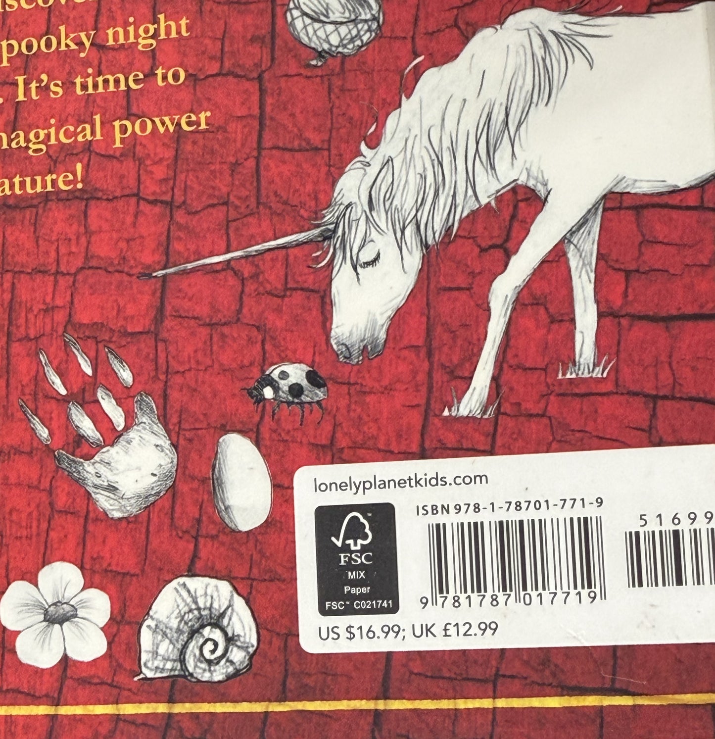 The Wild Things by Lonely Planet Kids, Fiona Danks, Jo Schofield