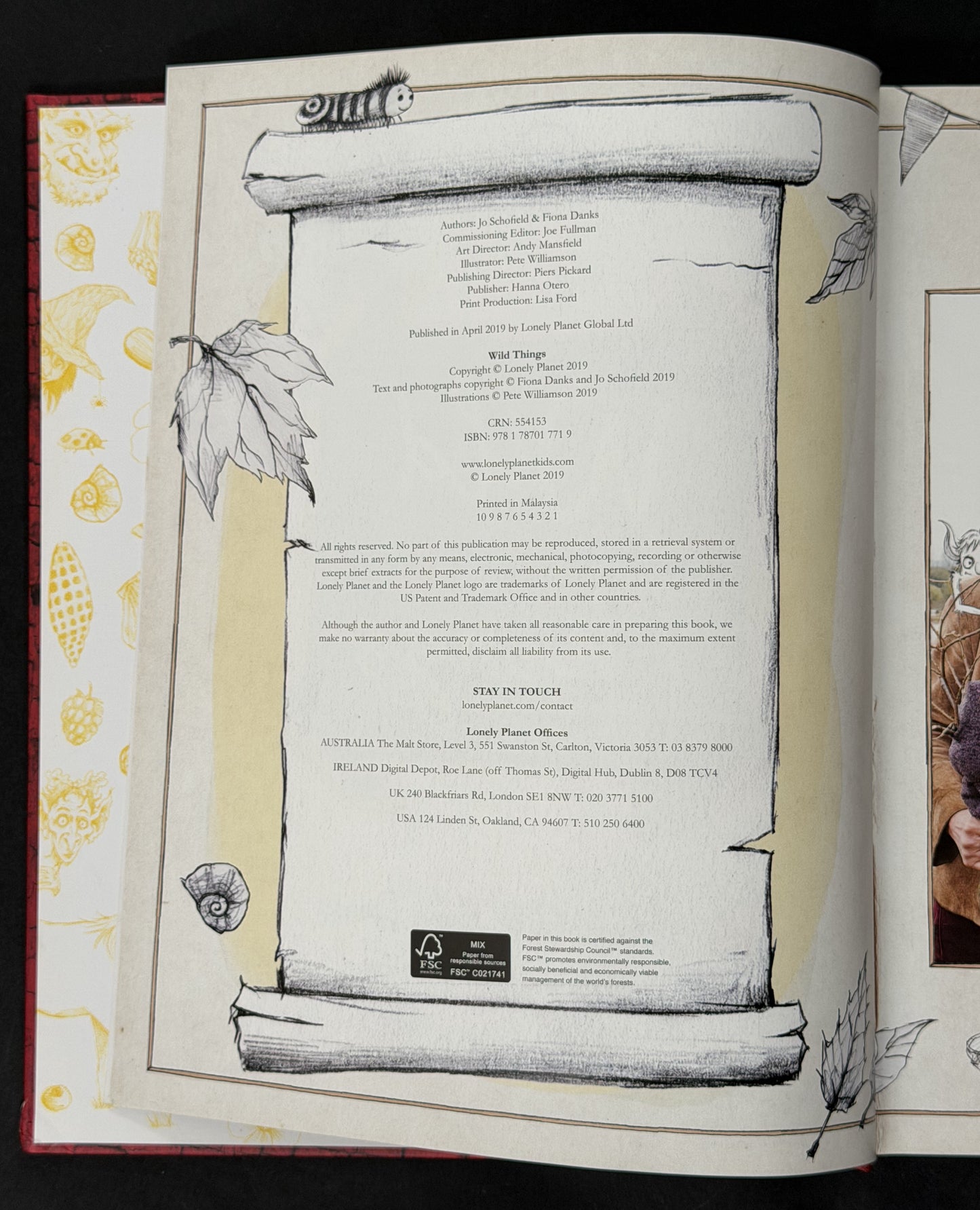 The Wild Things by Lonely Planet Kids, Fiona Danks, Jo Schofield