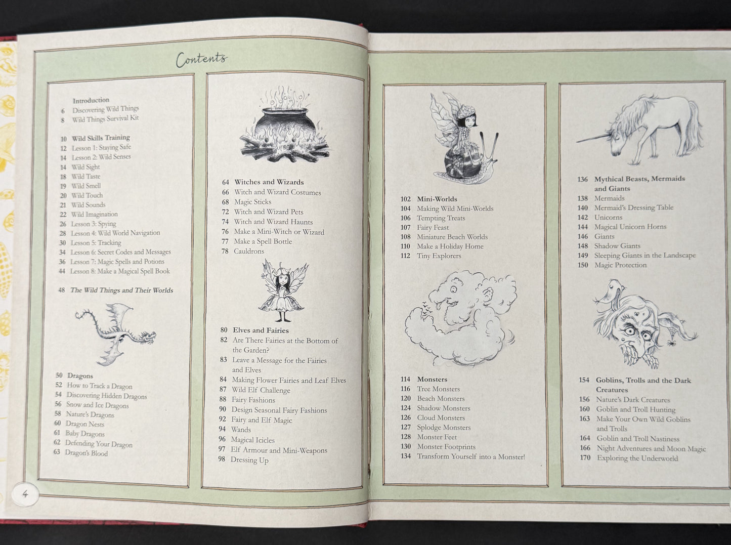 The Wild Things by Lonely Planet Kids, Fiona Danks, Jo Schofield
